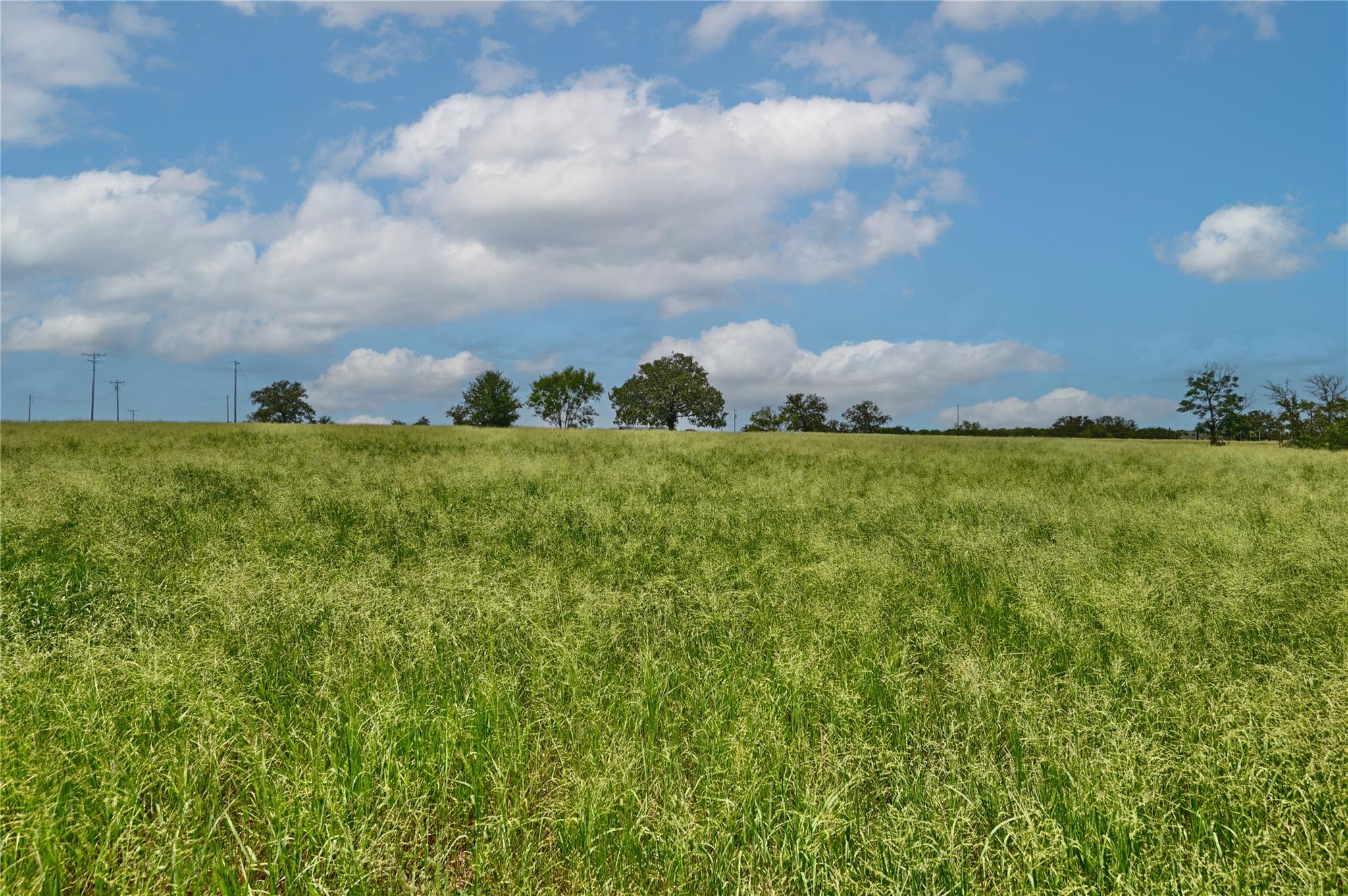 166 Sunny Day Dr — photo 4