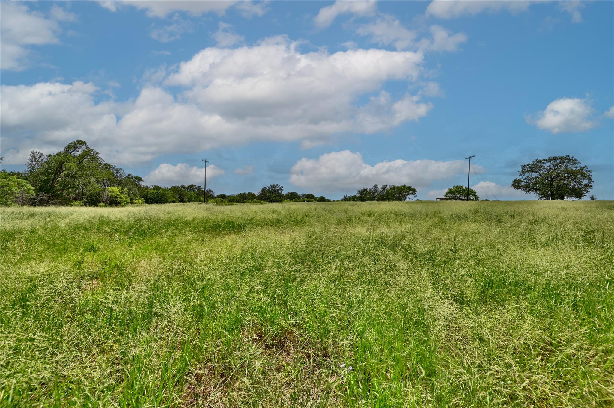 166 Sunny Day Dr — photo 5