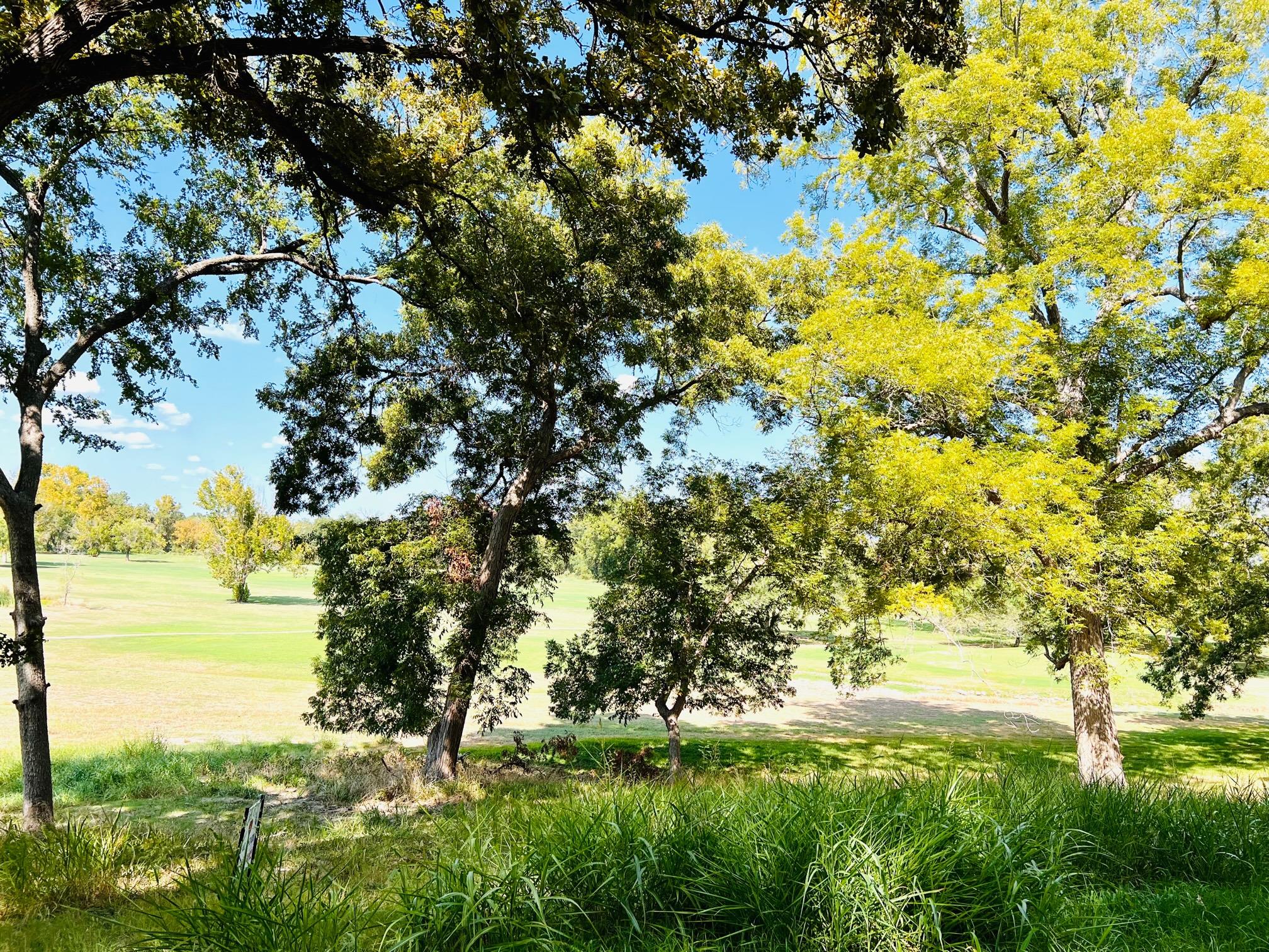 TBD Country Club CT — photo 4