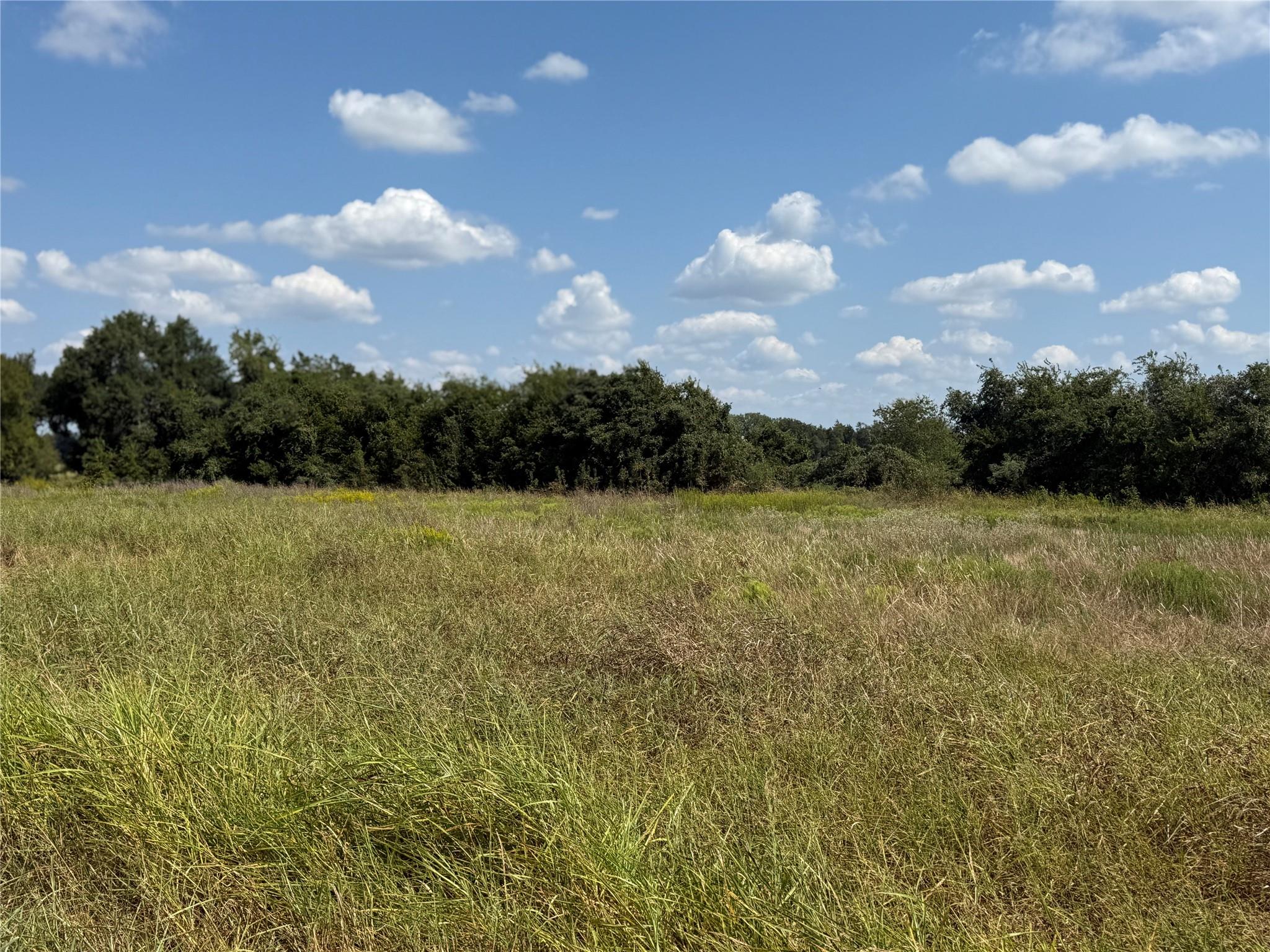 1122 Edwards WAY — photo 5