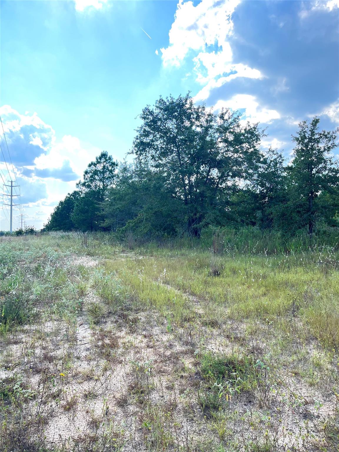 TBD Ponderosa Loop — photo 3