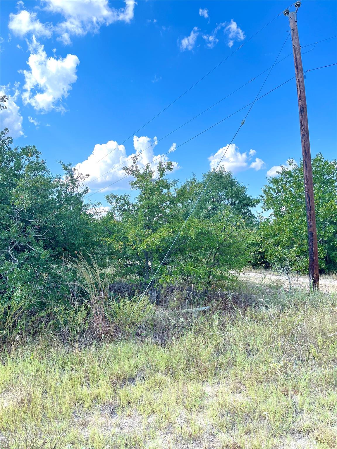 TBD Ponderosa Loop — photo 4