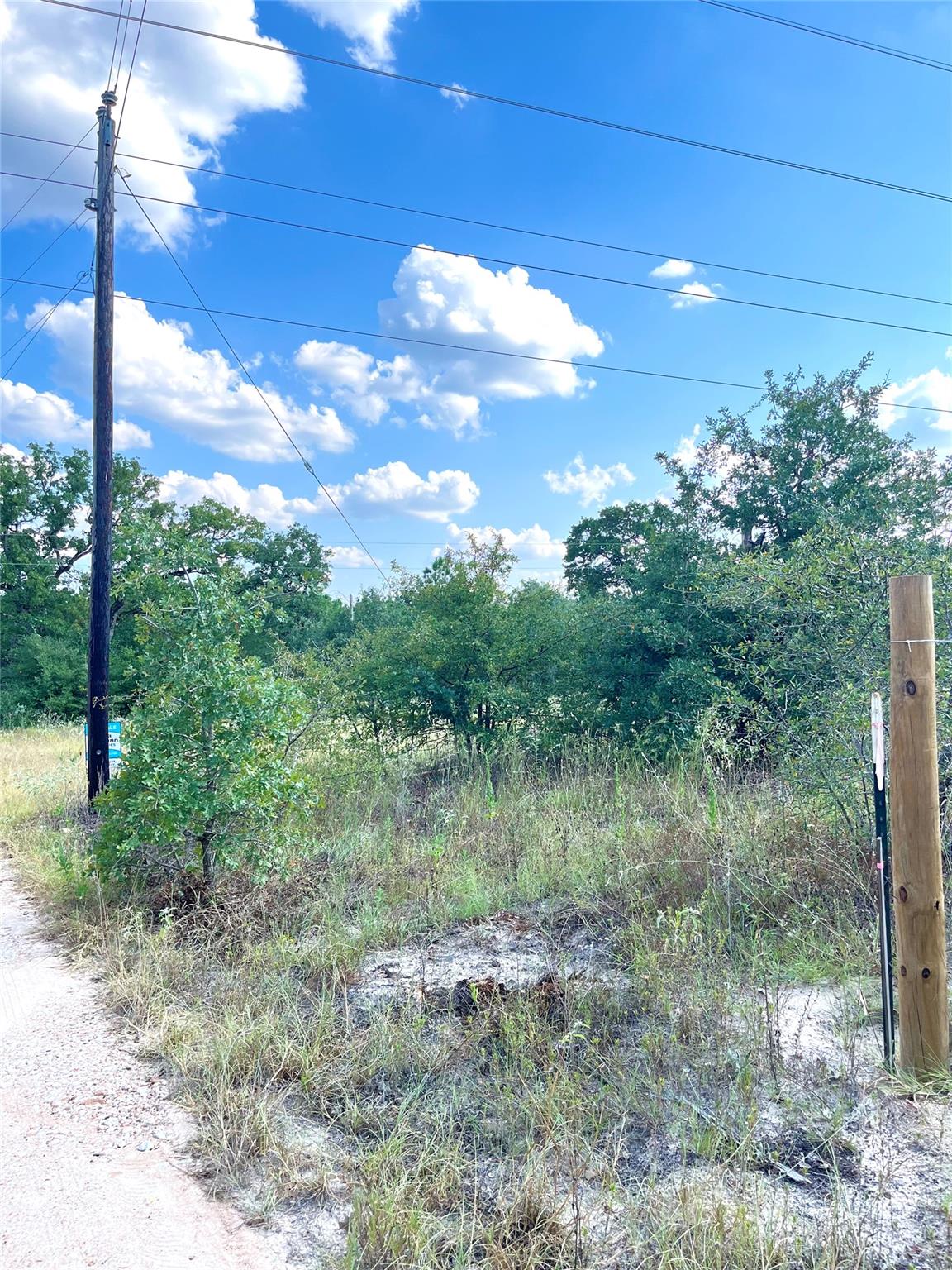 TBD Ponderosa Loop — photo 5