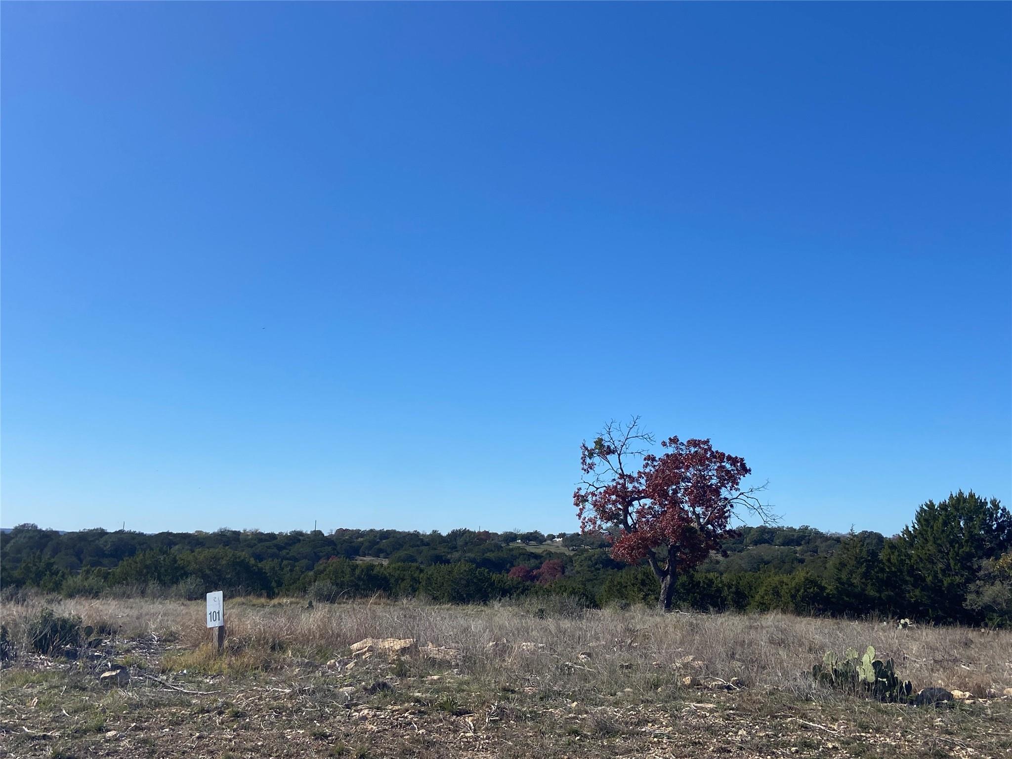 000000 River Shoals DR — photo 5