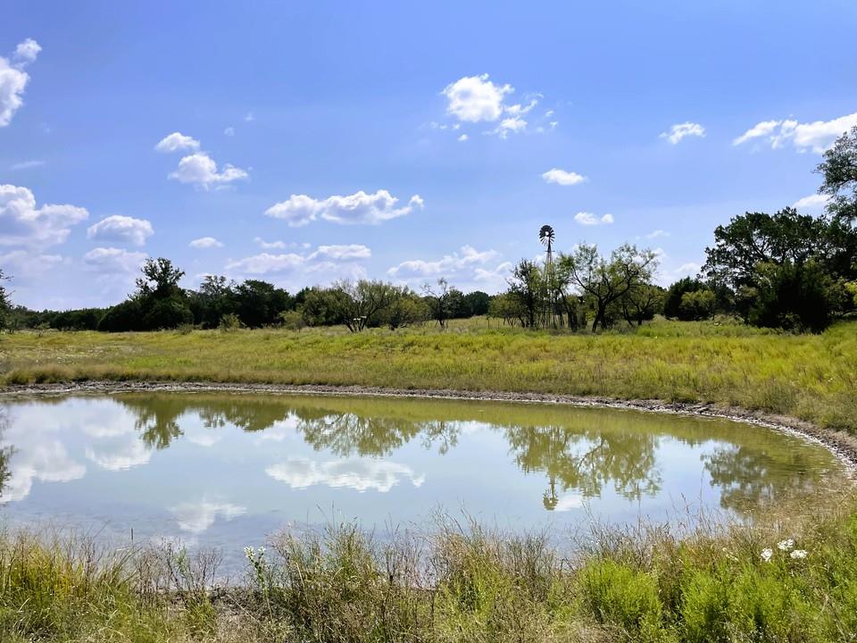 153 Live Oak Mott DR