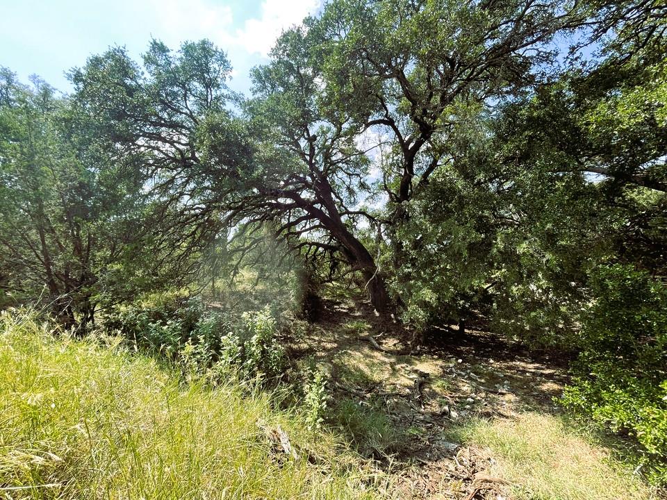 153 Live Oak Mott DR — photo 3