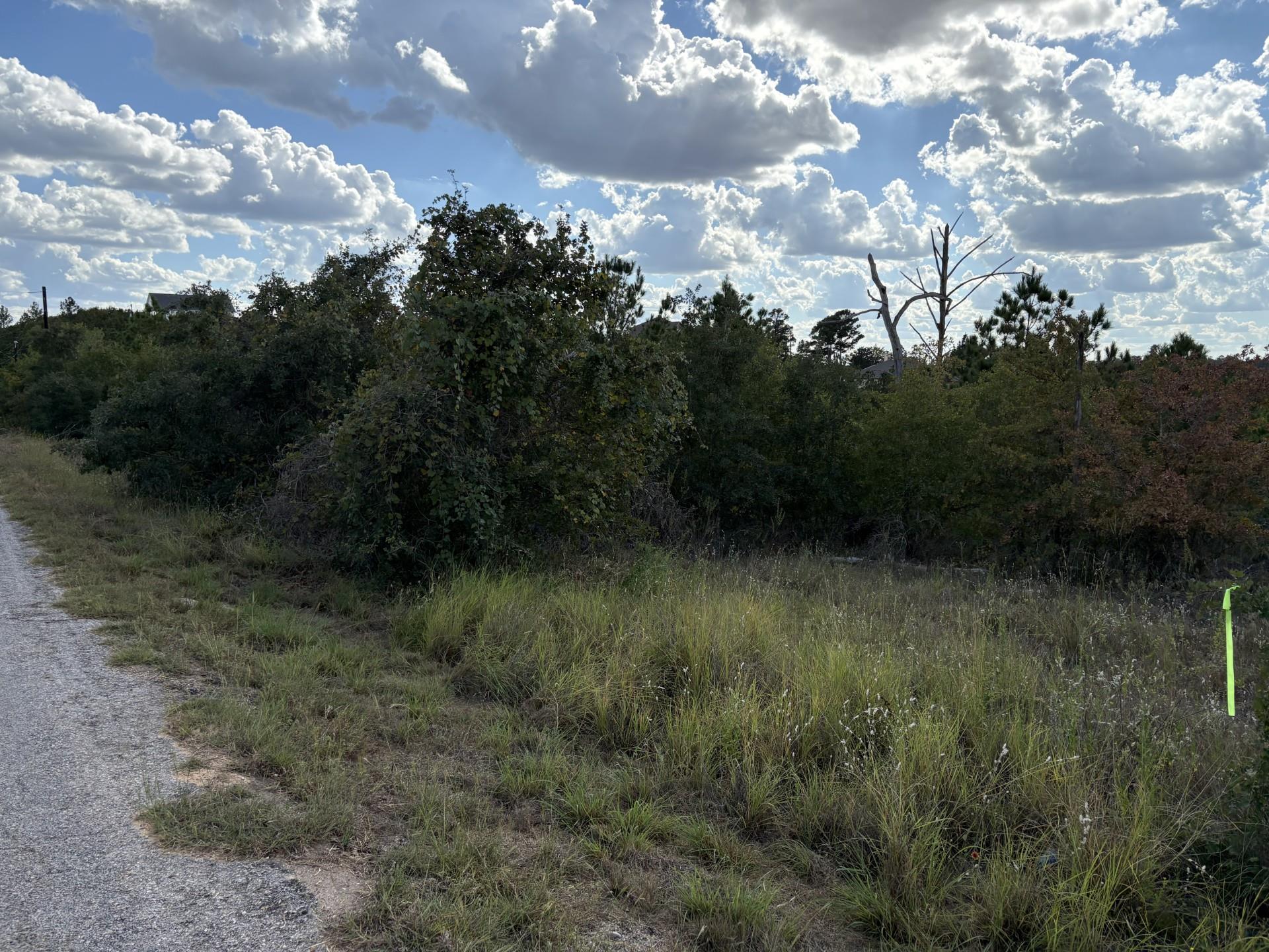 TBD Lot 35 Pinecrest DR — photo 4