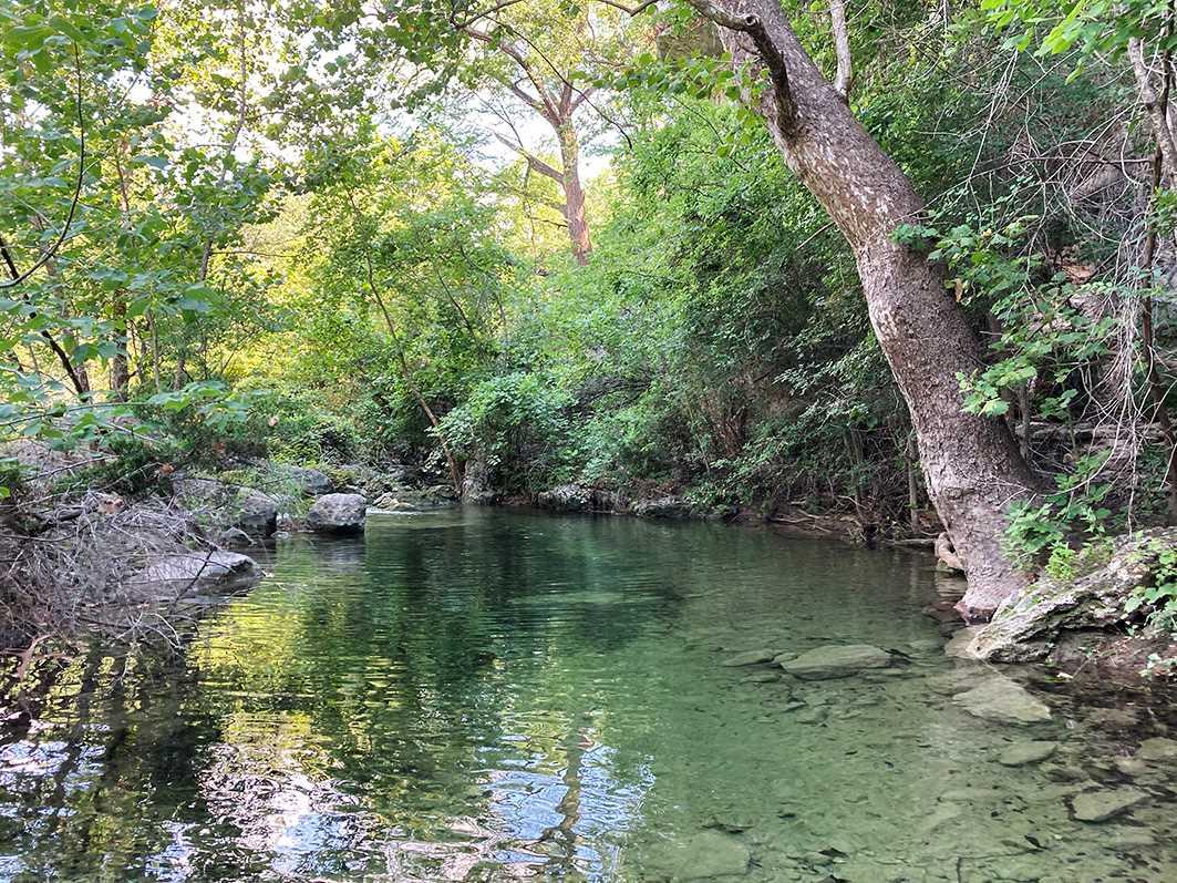 4207 Three Creek TRL — photo 4