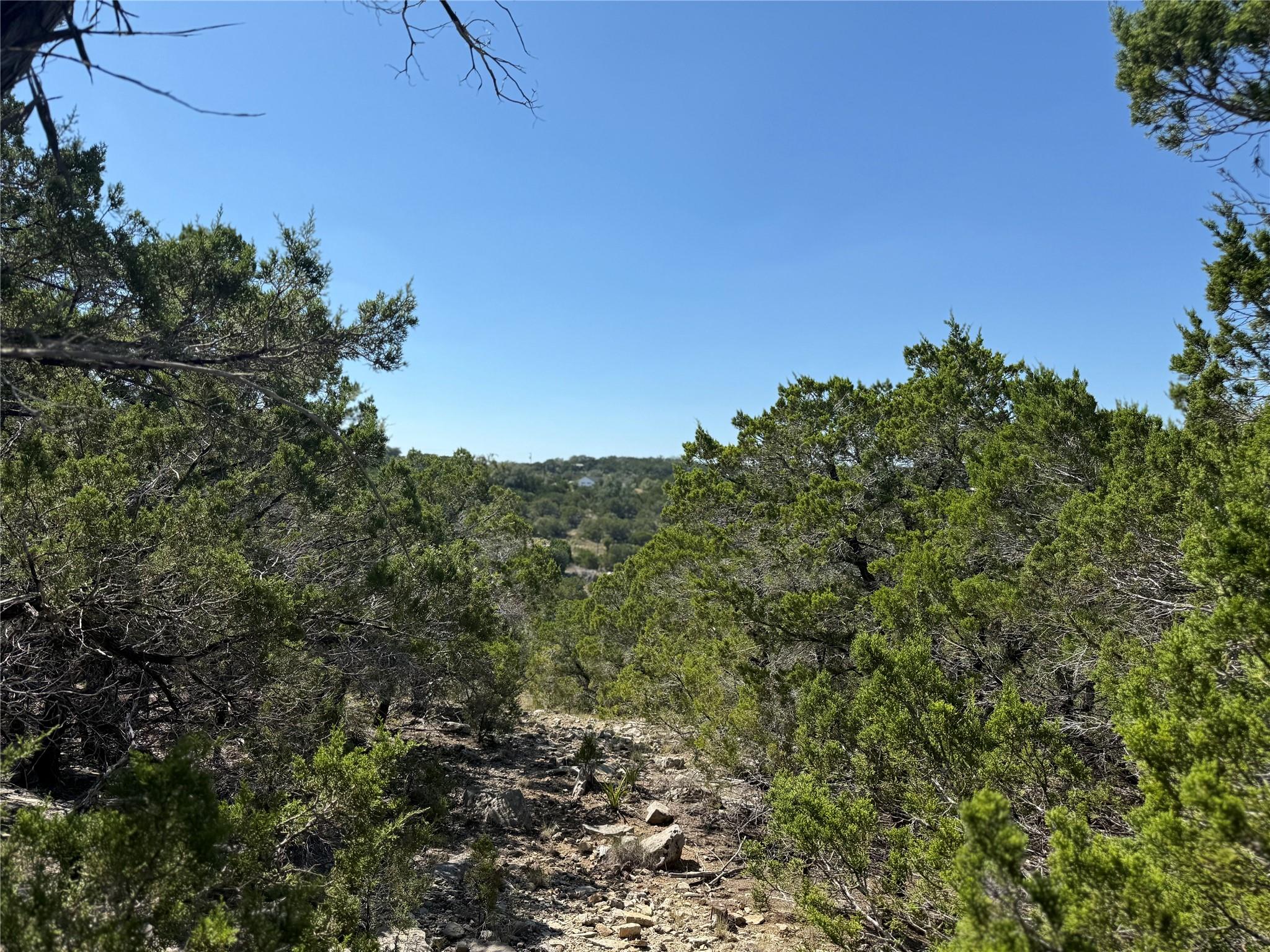 917 Roy Creek TRL — photo 3