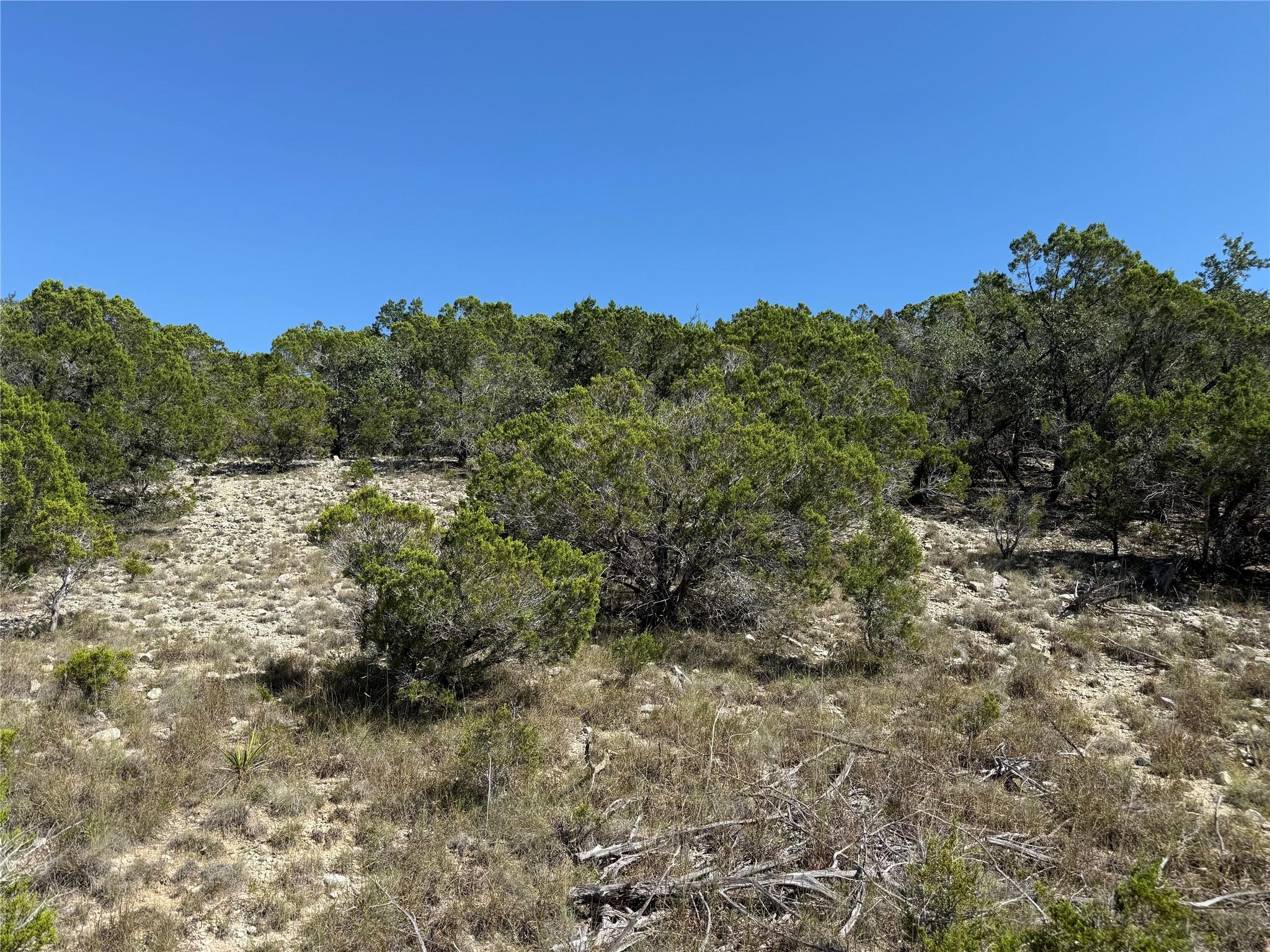 917 Roy Creek TRL — photo 5