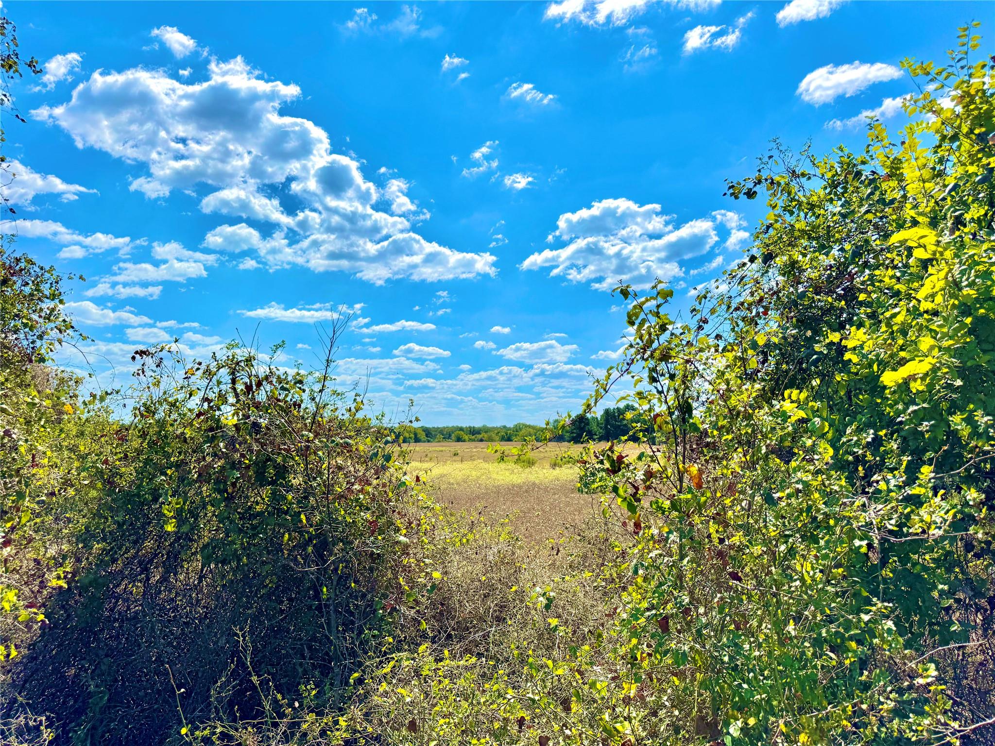 TBD 50.62 Acres Rabel RD — photo 3