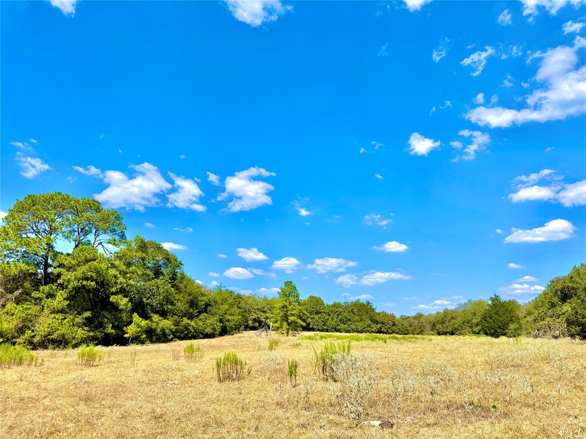 TBD 50.62 Acres Rabel RD — photo 5