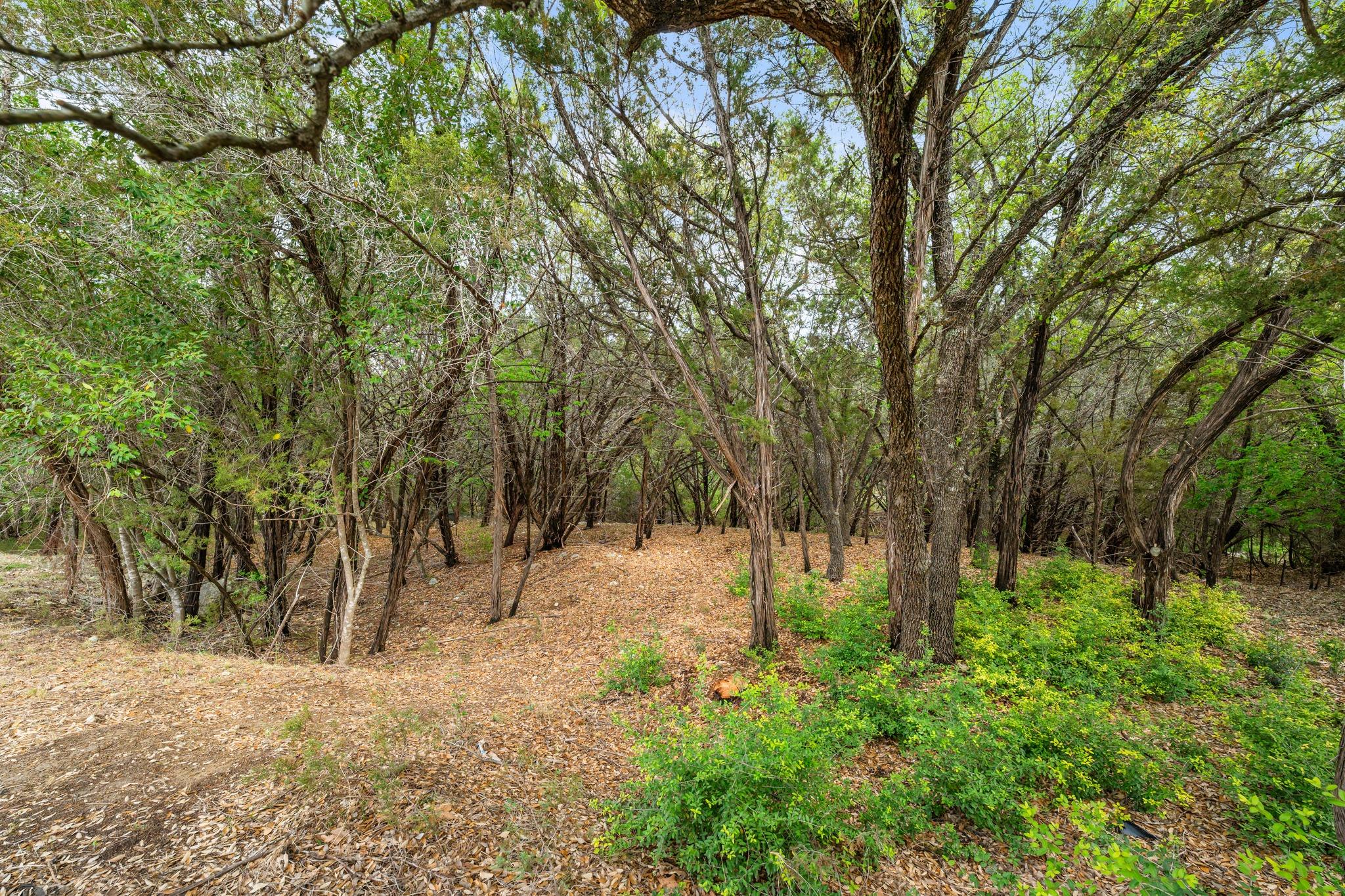 1707 Lipan TRL — photo 5