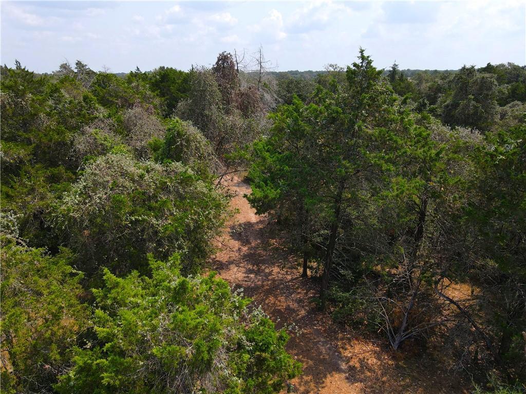 424 County Road 437 #Lot 2 — photo 4
