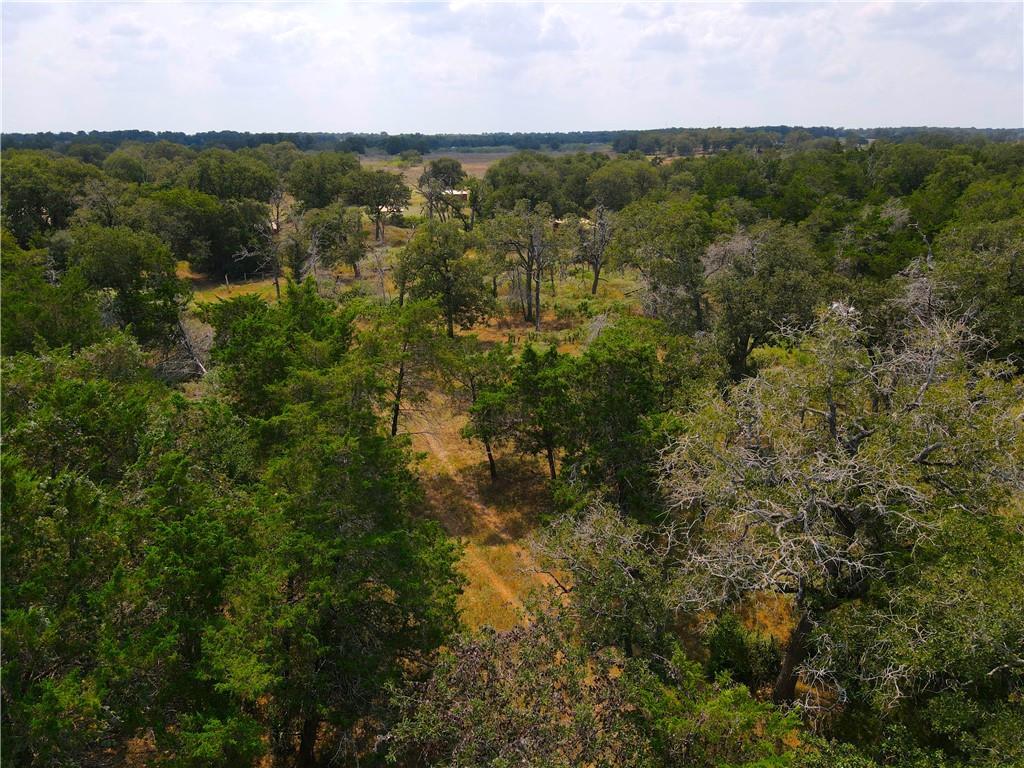 424 County Road 437 #Lot 2 — photo 5