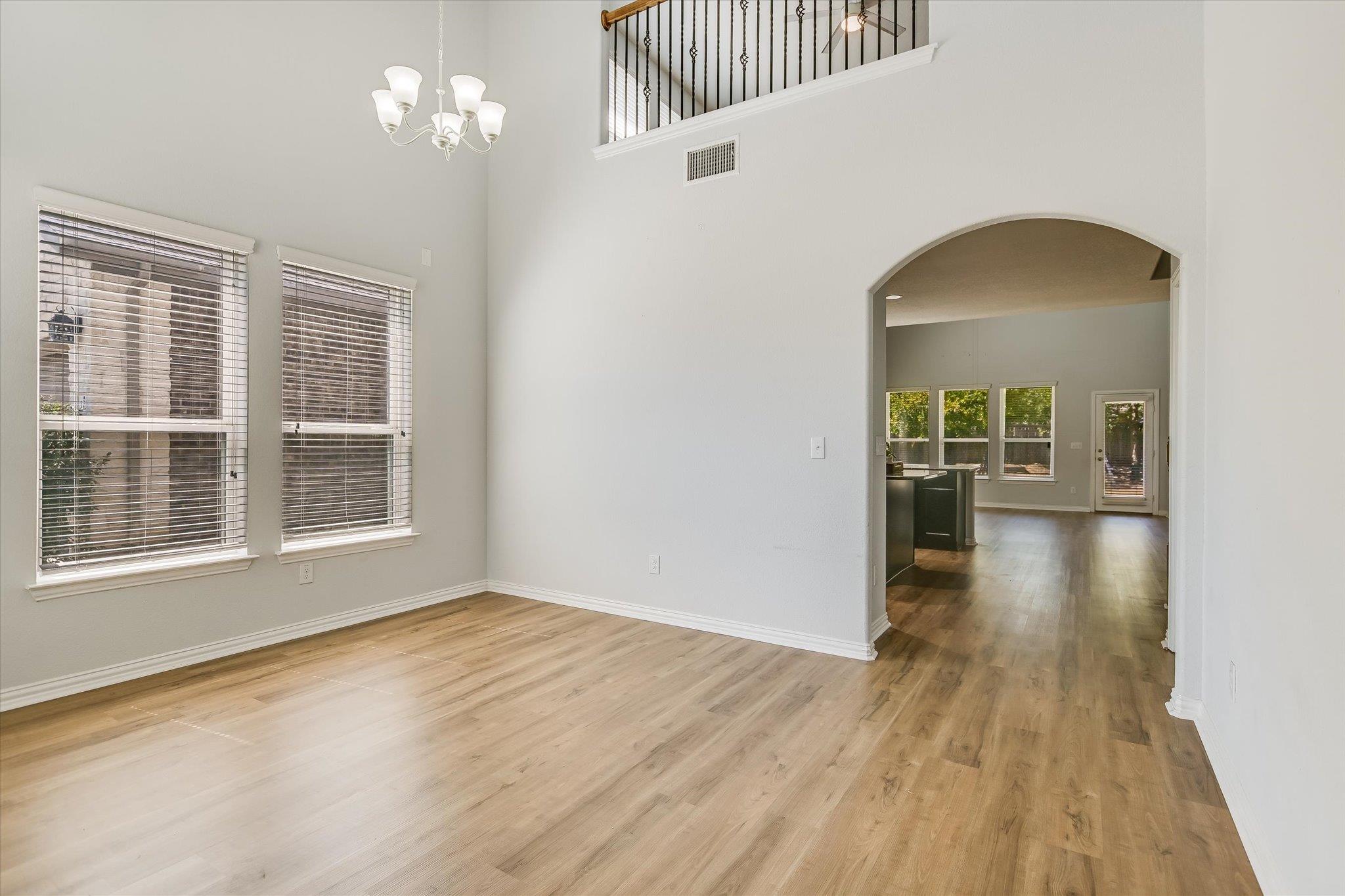113 Cipressi CV — photo 5