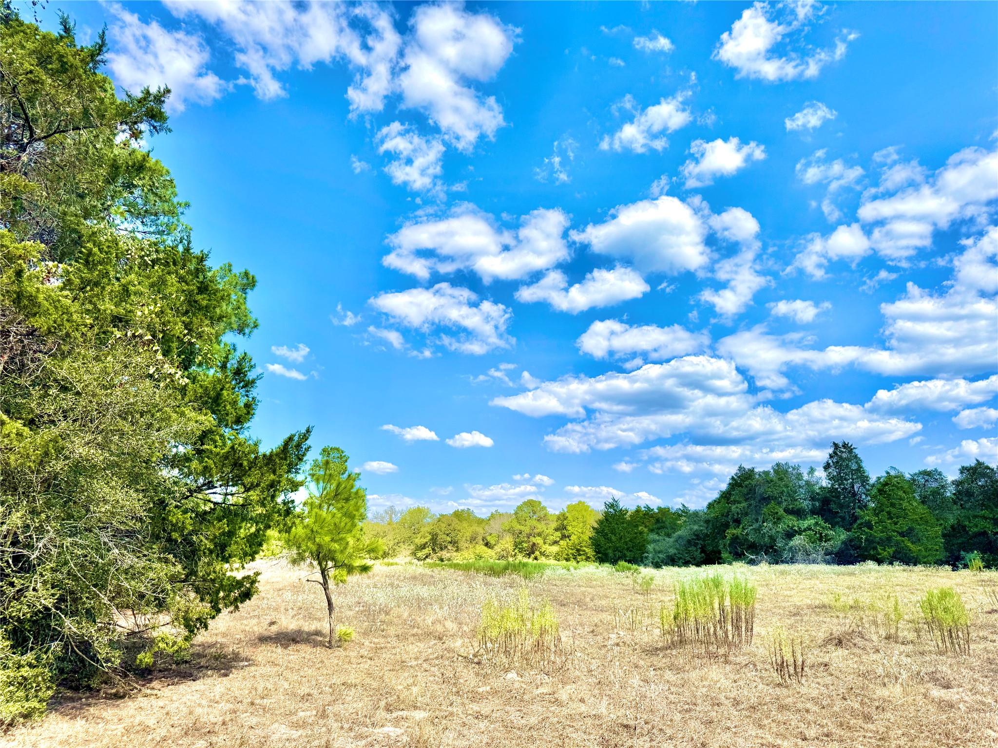 TBD 50.62 Acres Rabel RD — photo 3
