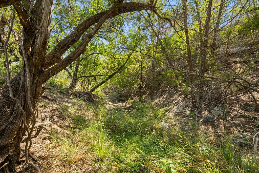 Tract 3 of 5818 Ranch Road 165 — photo 3