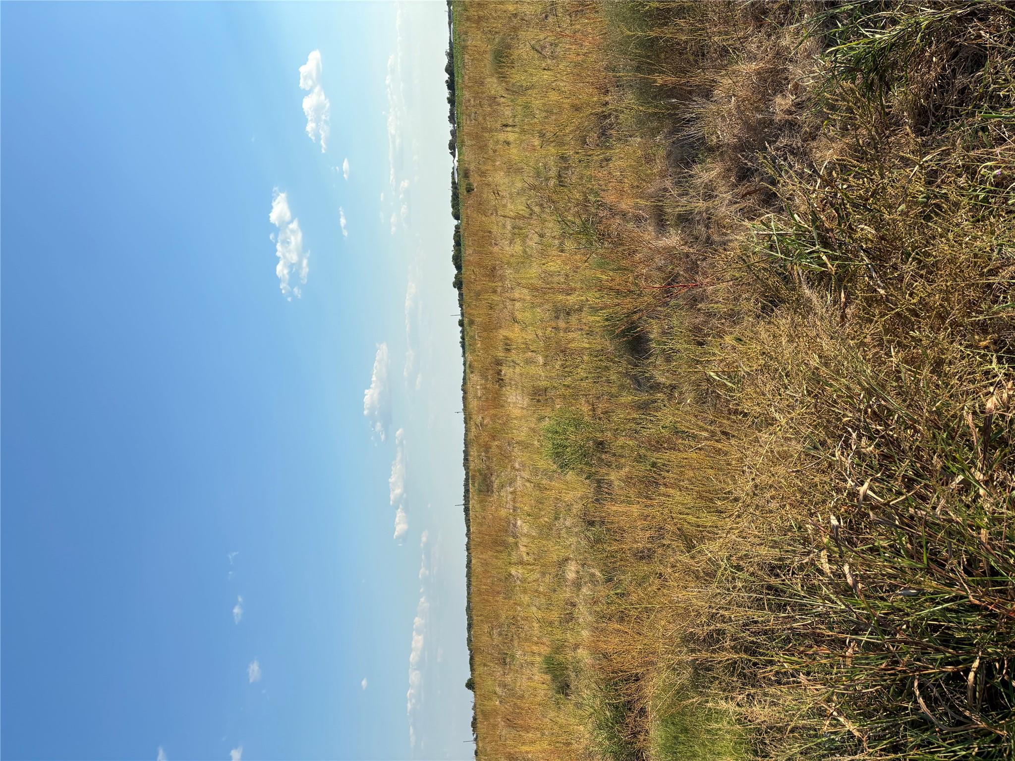 305 County Rd 134 — photo 4