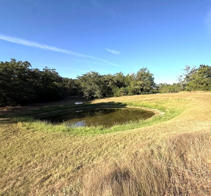 1127 County Road 234 RD