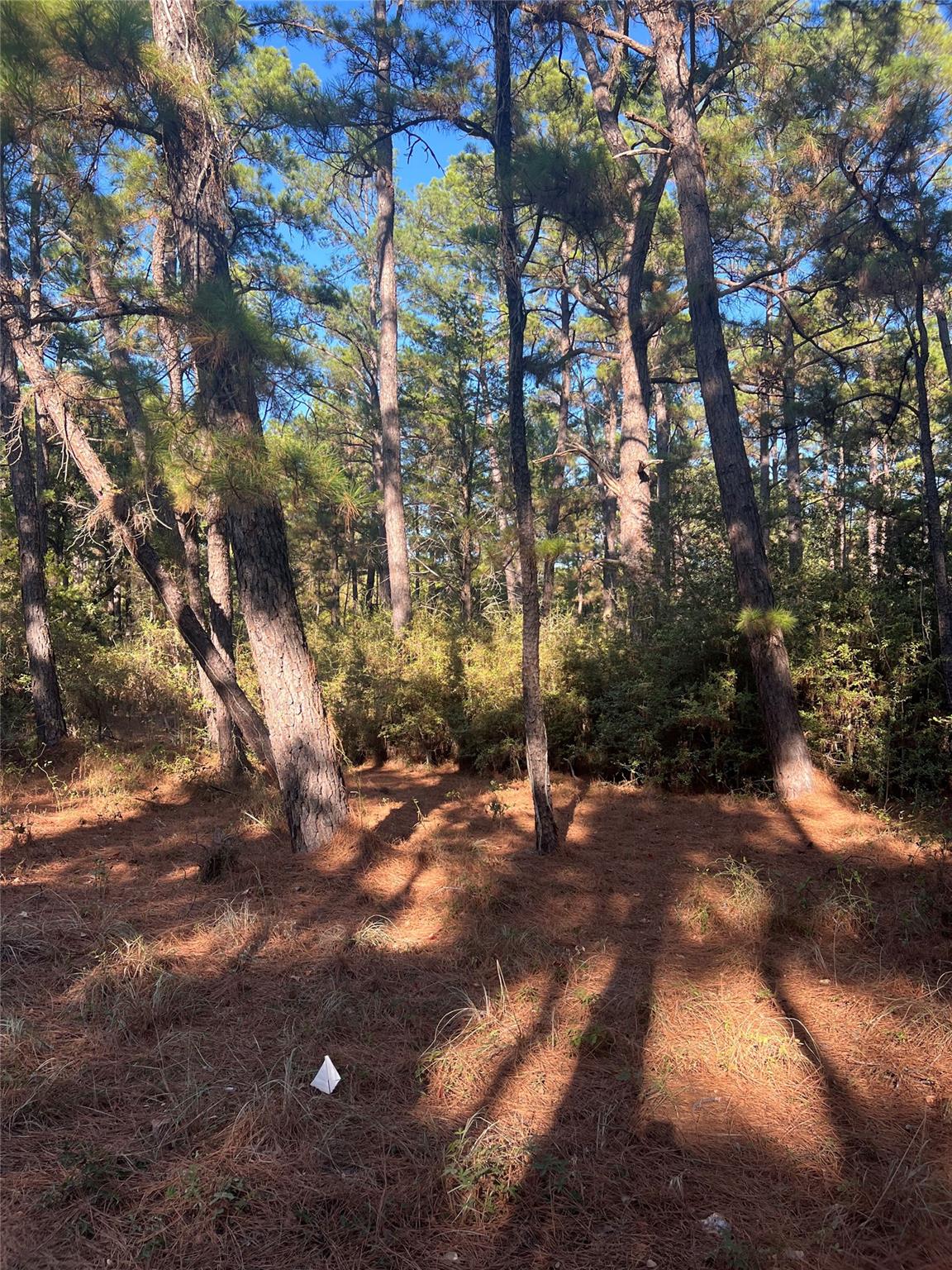 Lot 43 Pine Lodge DR — photo 3