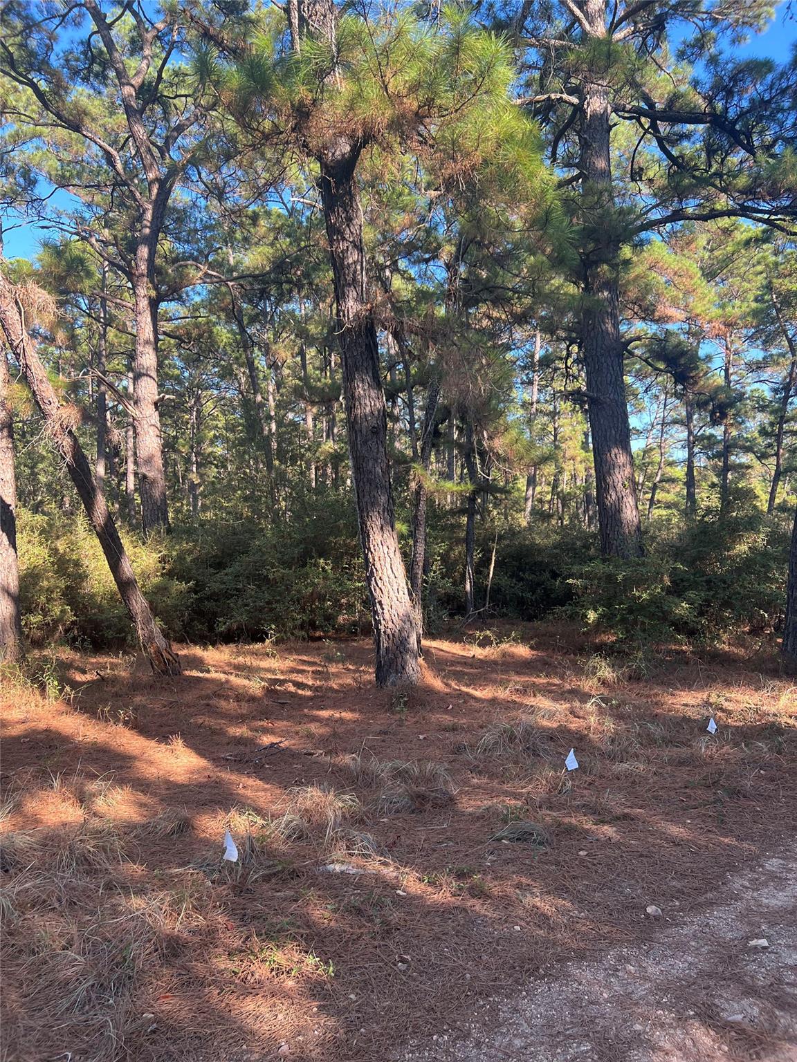Lot 43 Pine Lodge DR — photo 4