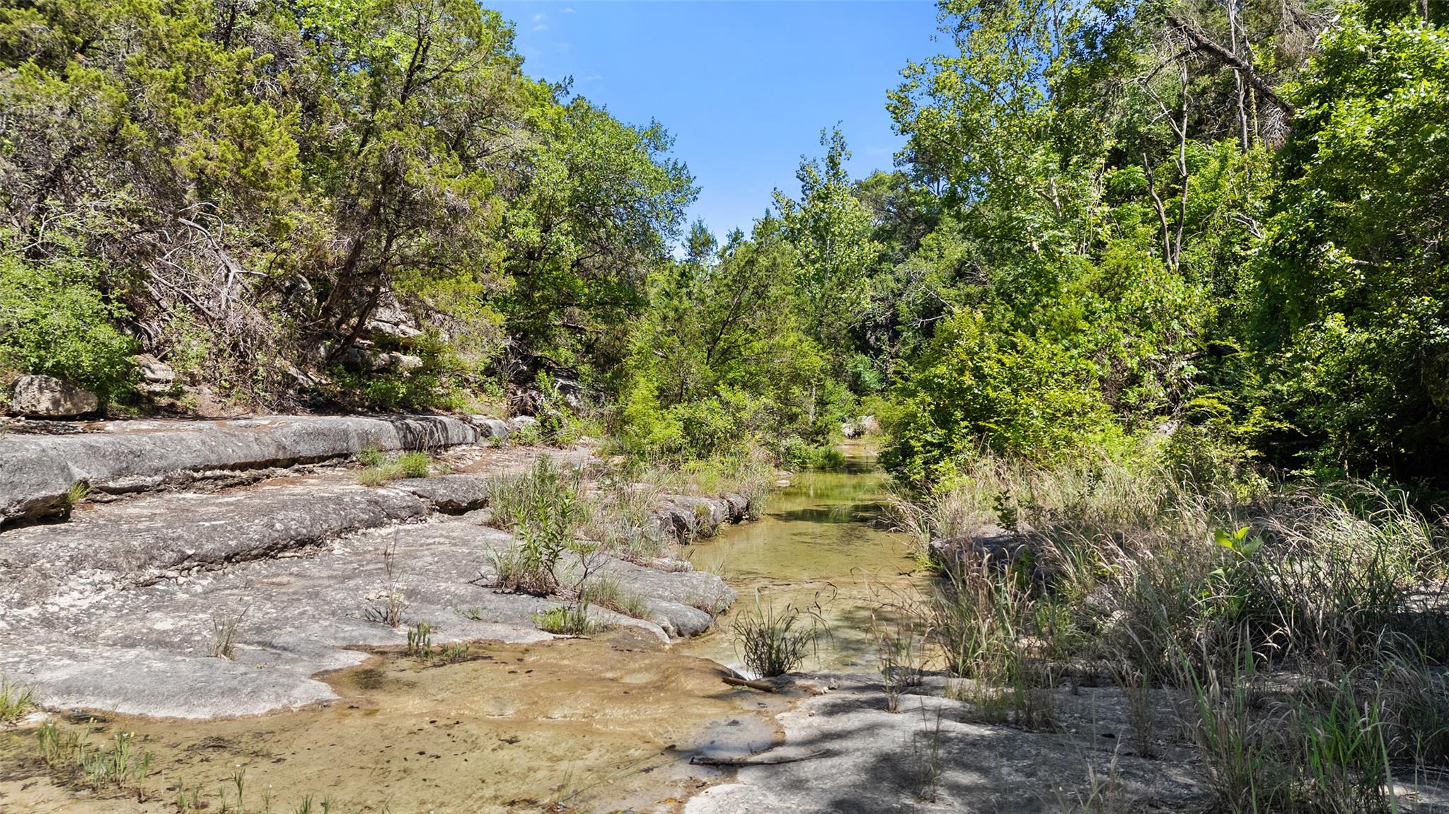 1601 Wild Basin Ledge — photo 5