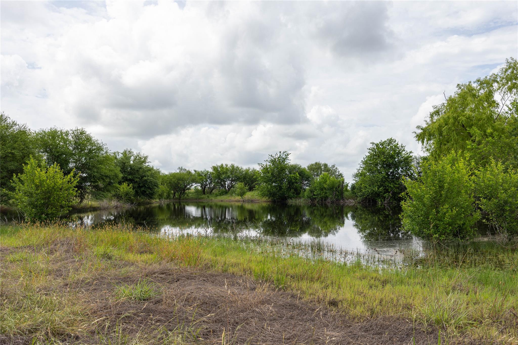 6868 Pfeil RD — photo 5