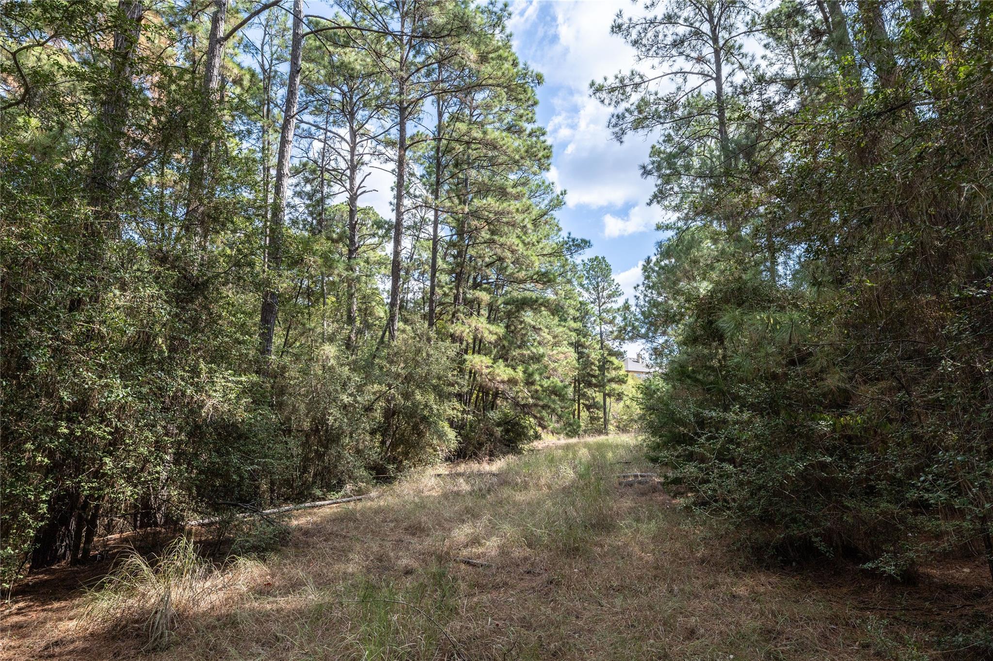 LOT 1447 Koae CT — photo 5