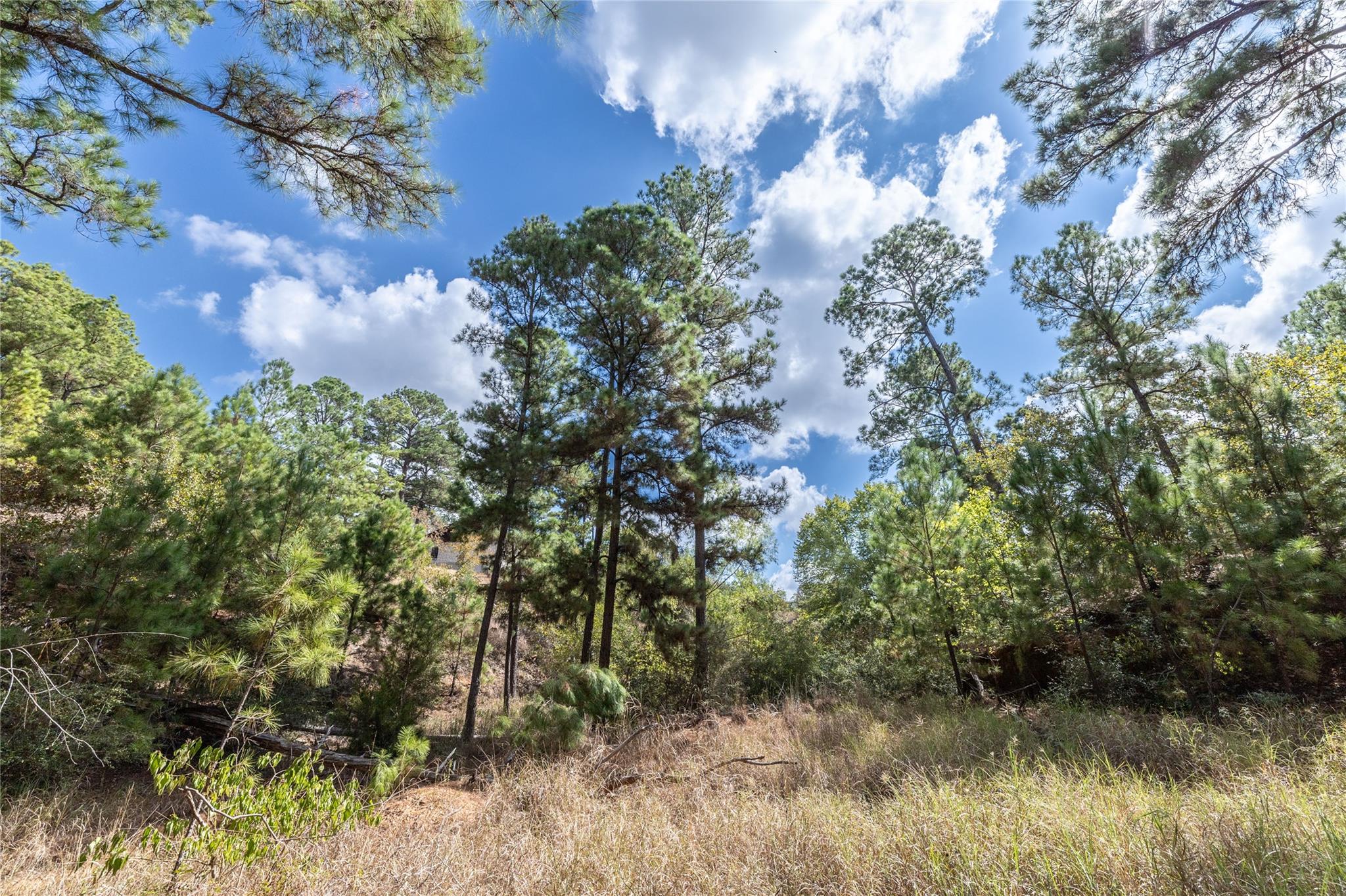 LOT 1447 Koae CT — photo 3