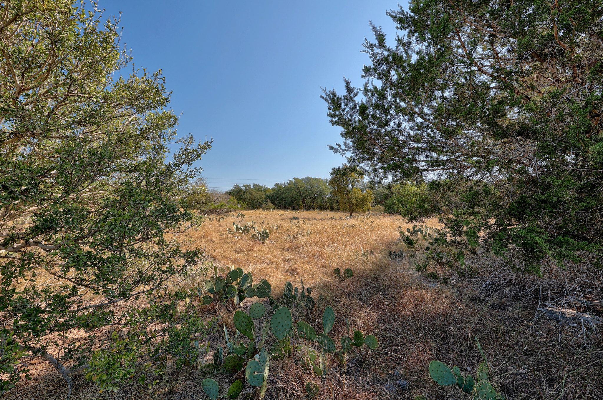 123 Appaloosa CV — photo 5