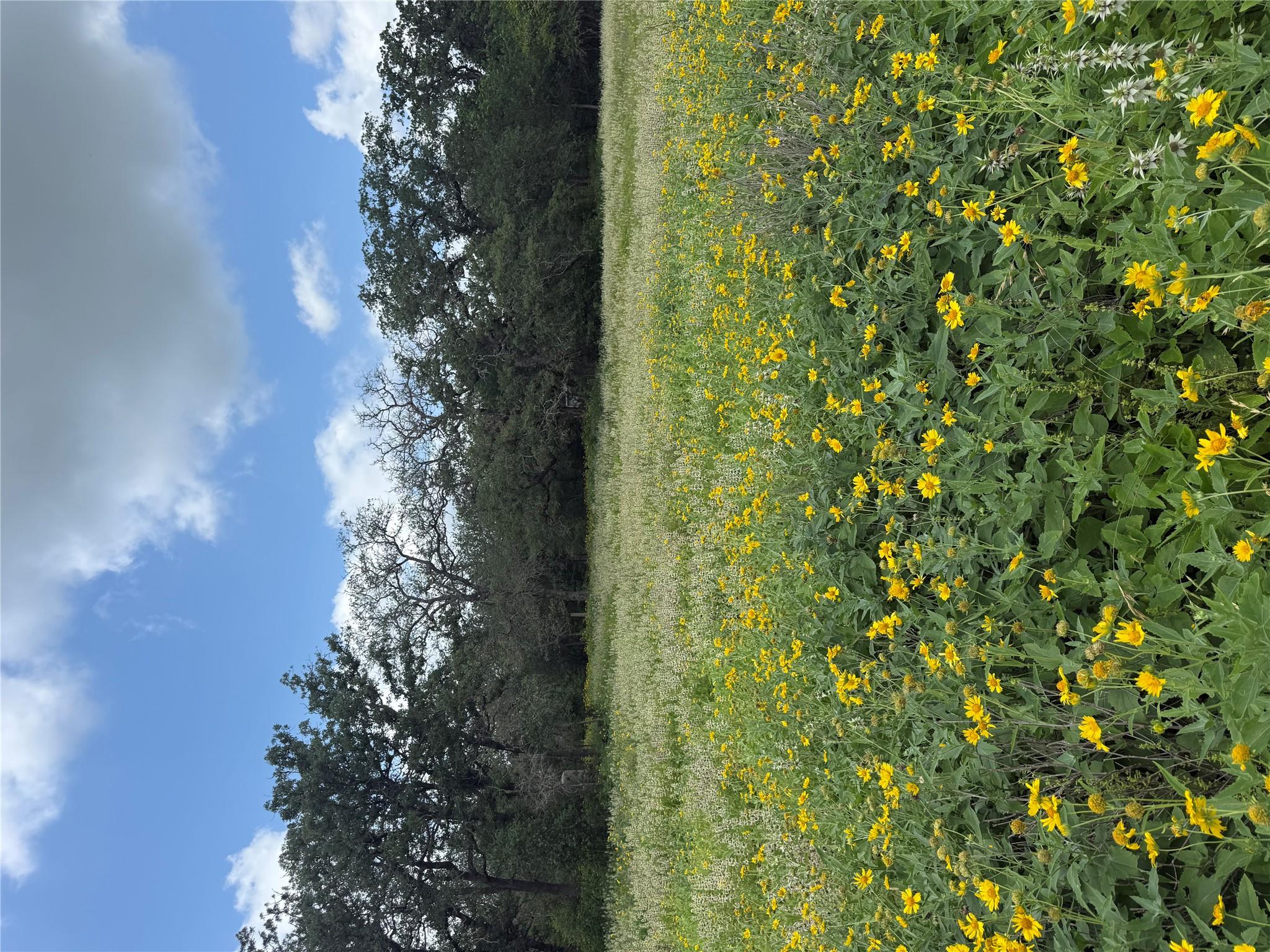 2135 Mule Creek RD — photo 4
