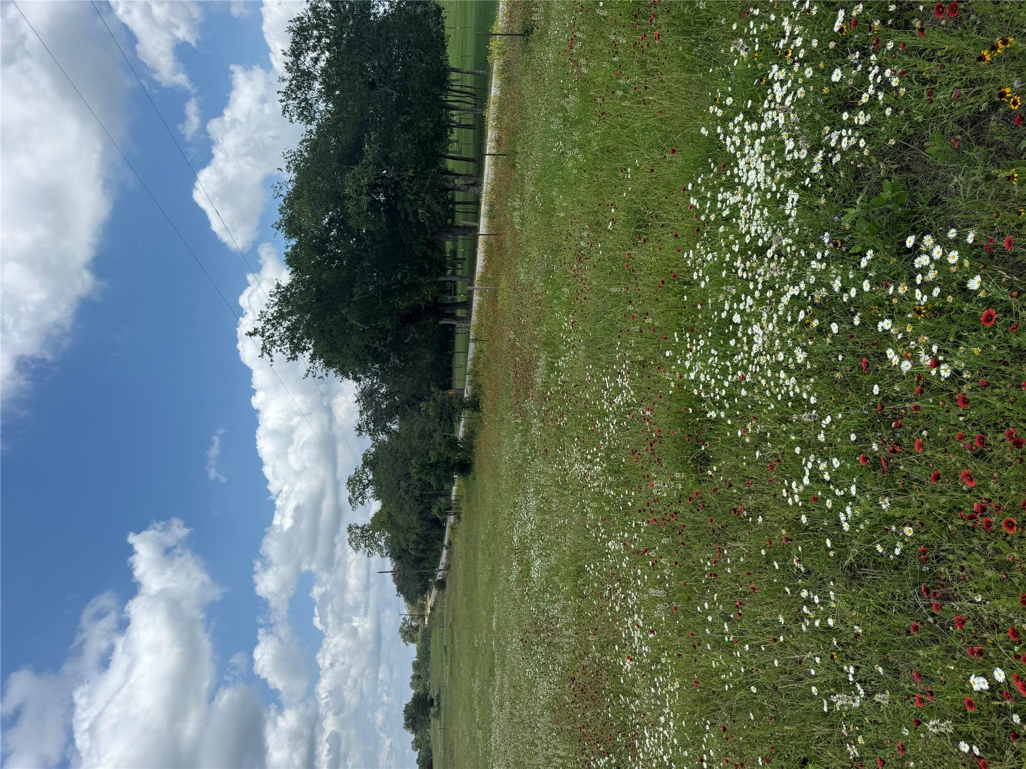 2135 Mule Creek RD — photo 3