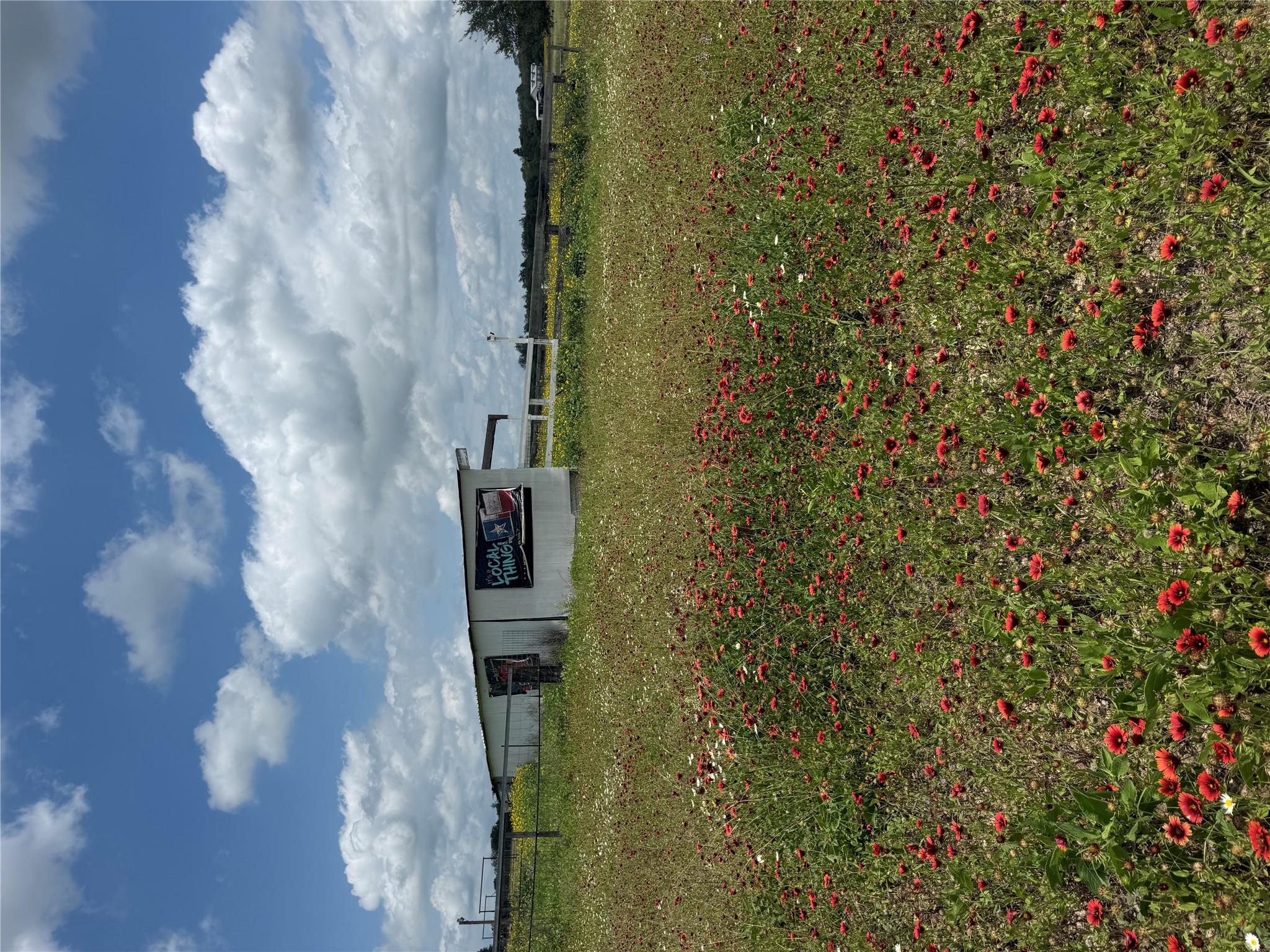 2135 Mule Creek RD — photo 3
