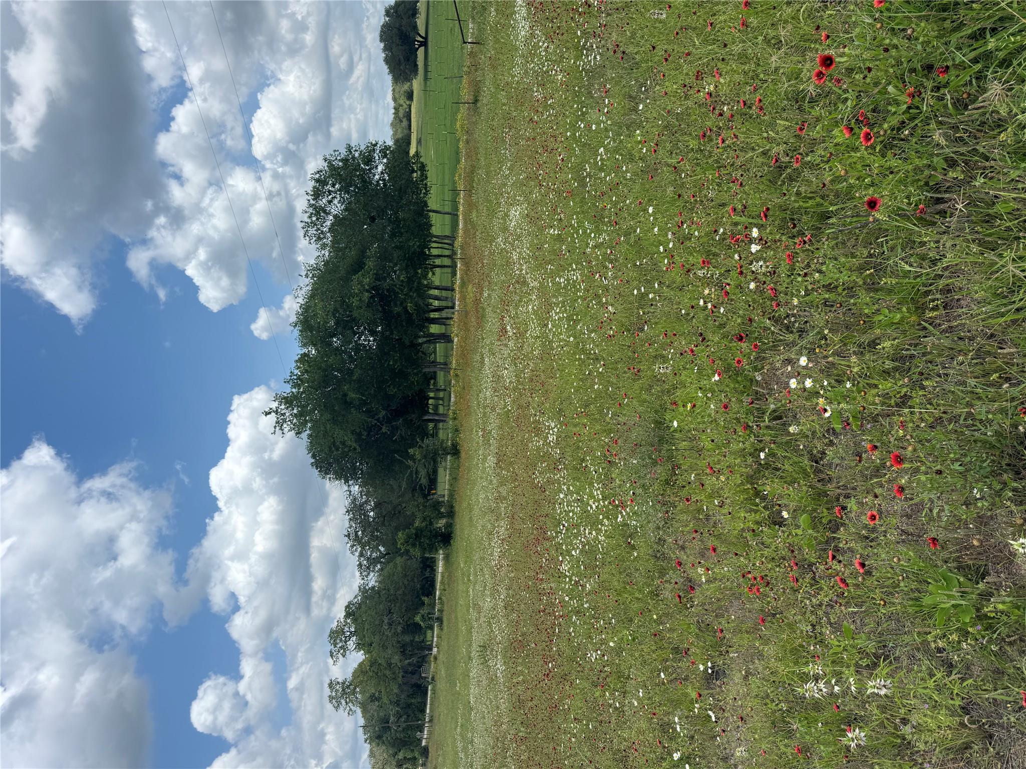 2135 Mule Creek RD — photo 4