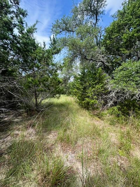 TBD LOT 3 Royal Eagle DR — photo 3
