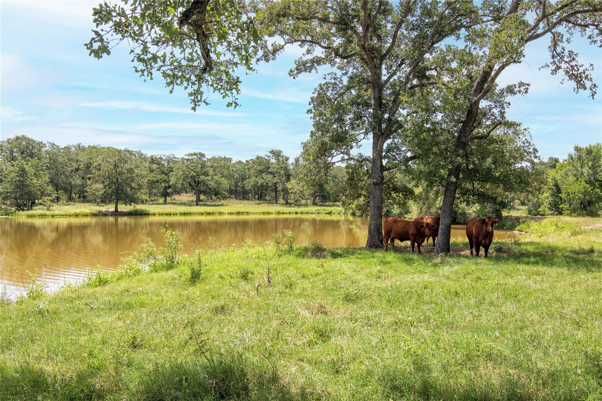 6750 Three Mile RD — photo 4