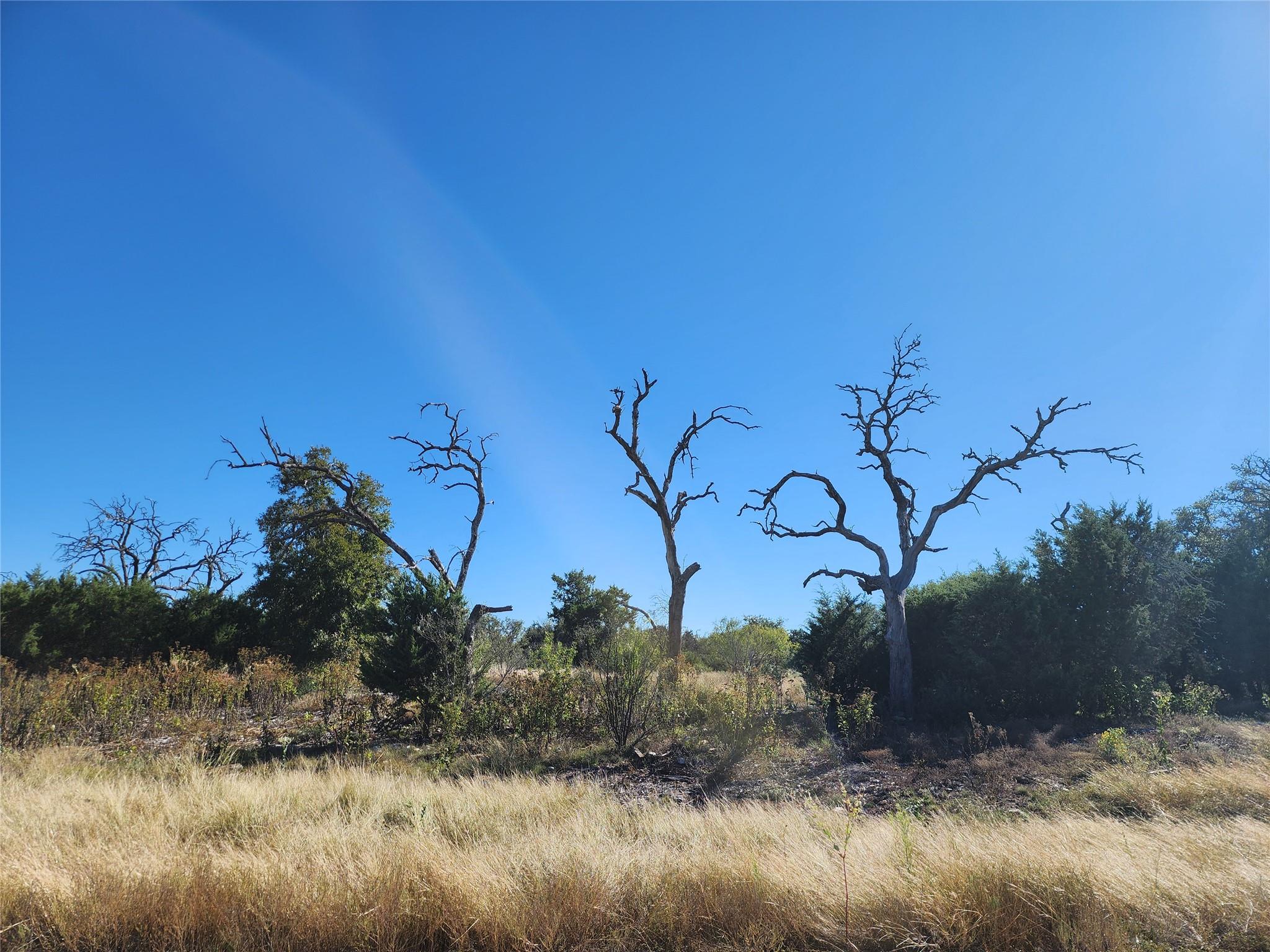 Lot 73 Shin Oak DR — photo 5