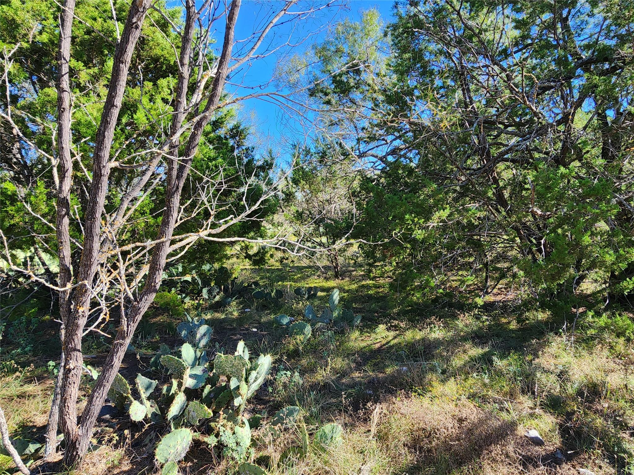 Lot 73 Shin Oak DR — photo 3