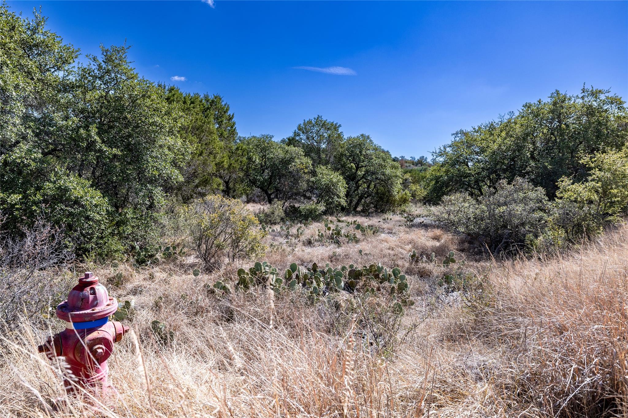 LOT K10168 Mountain Dew RD — photo 4