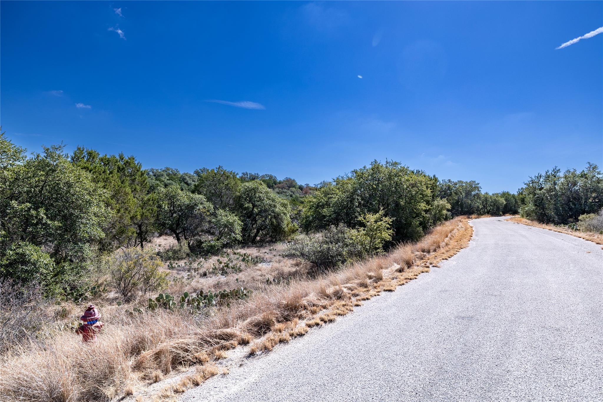 LOT K10168 Mountain Dew RD — photo 5