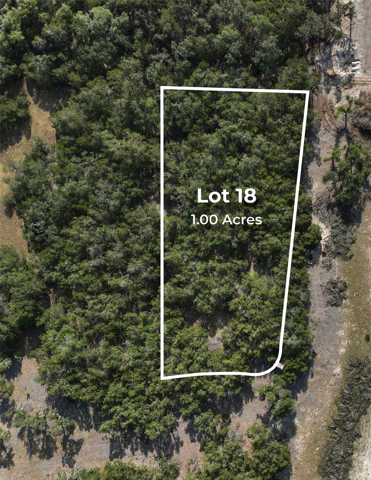 TBD Kestrel CV — photo 4