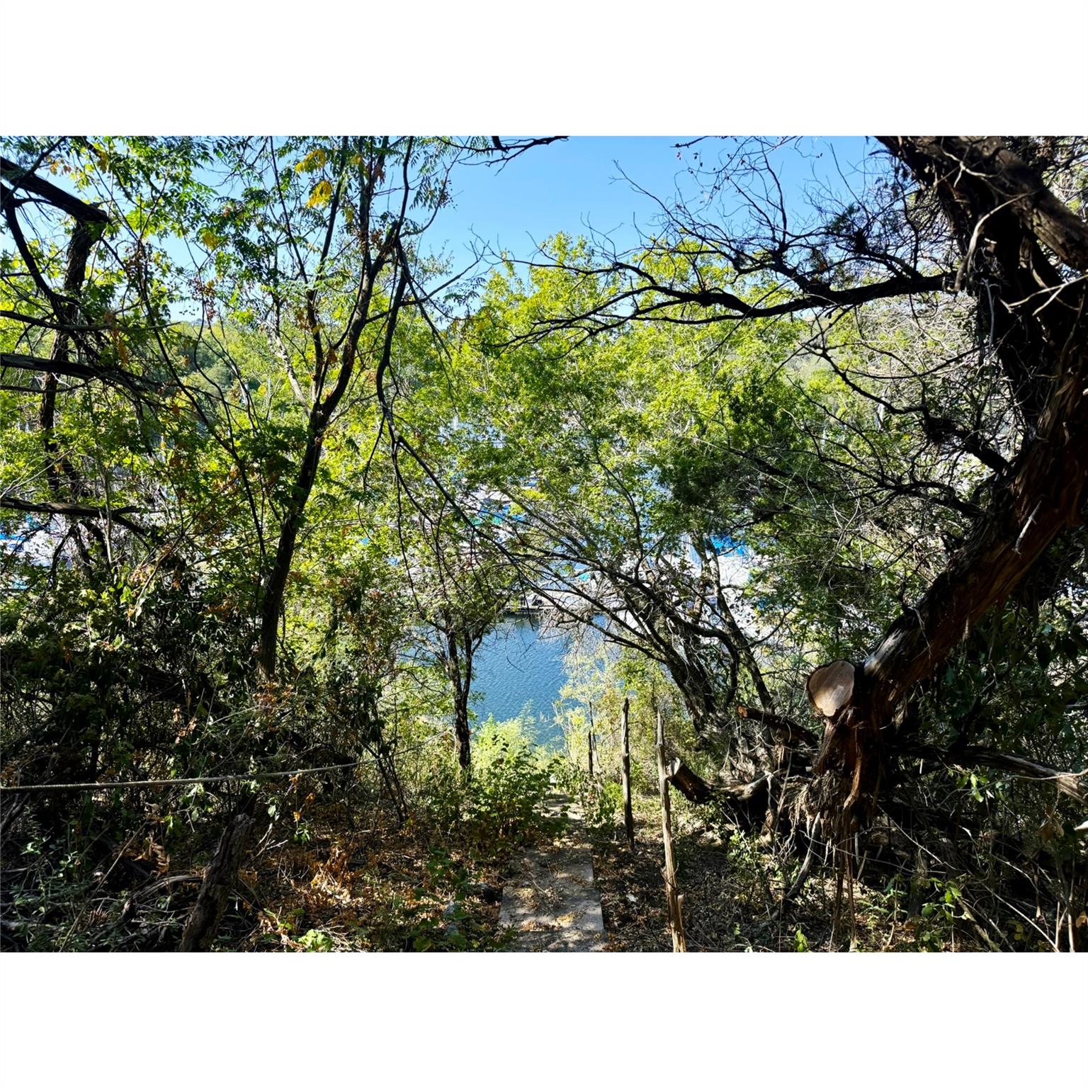 14456 Agarita RD — photo 3