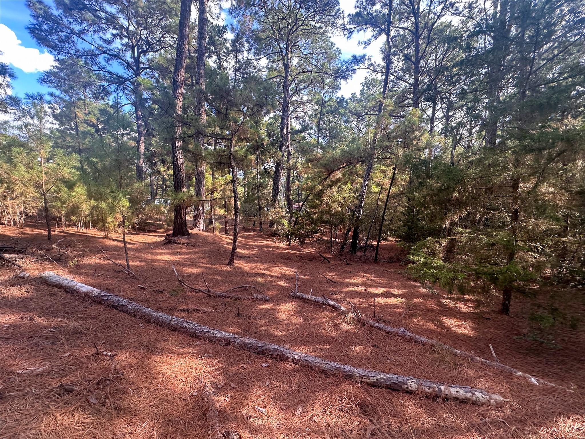 Lot 84 Hill Ridge DR — photo 4