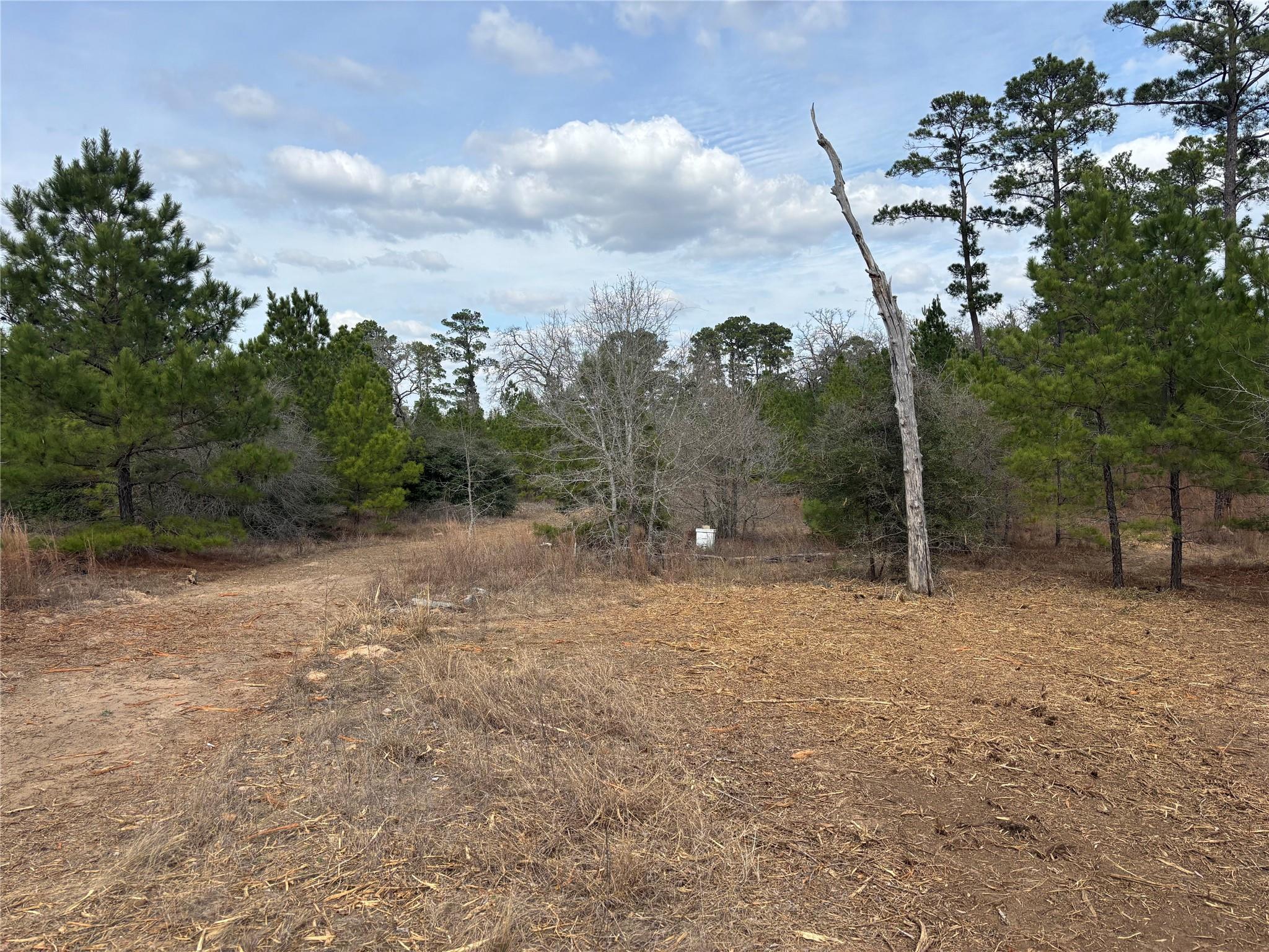 187 K C DR — photo 4