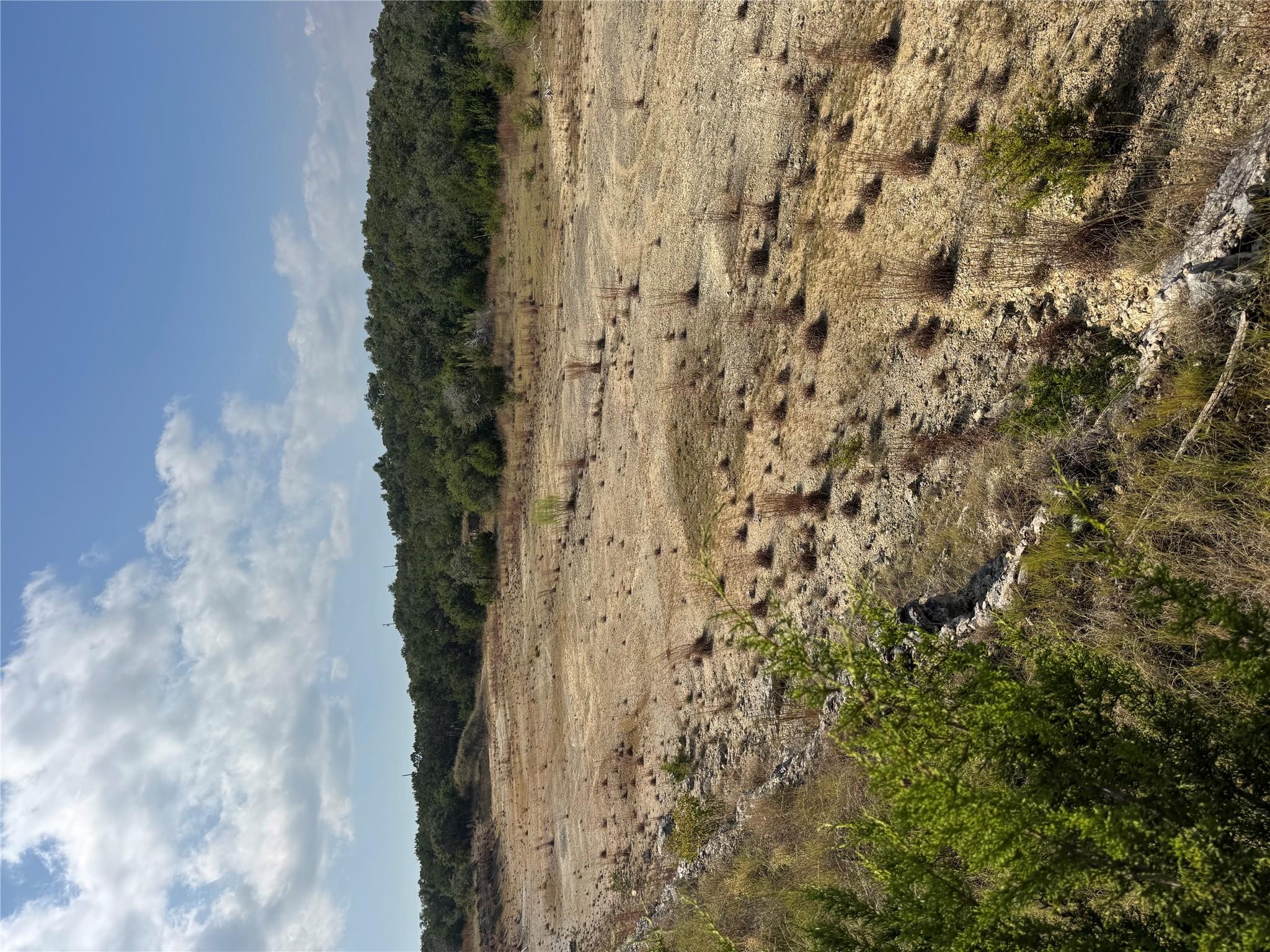 000 US 290 Highway — photo 4