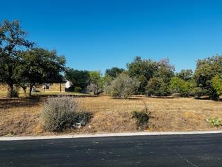 Lot 5038 Big Spur — photo 4