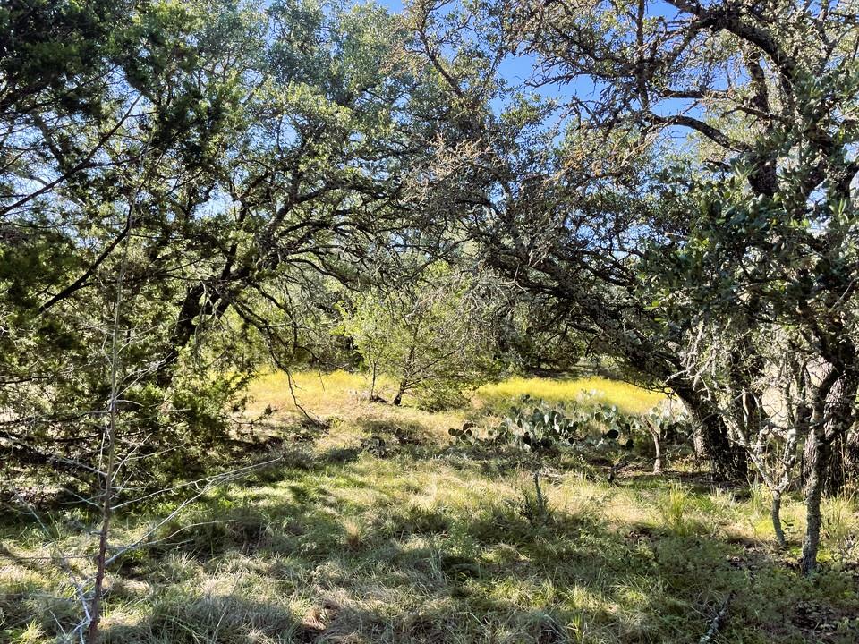 1276 Fm 574 — photo 4
