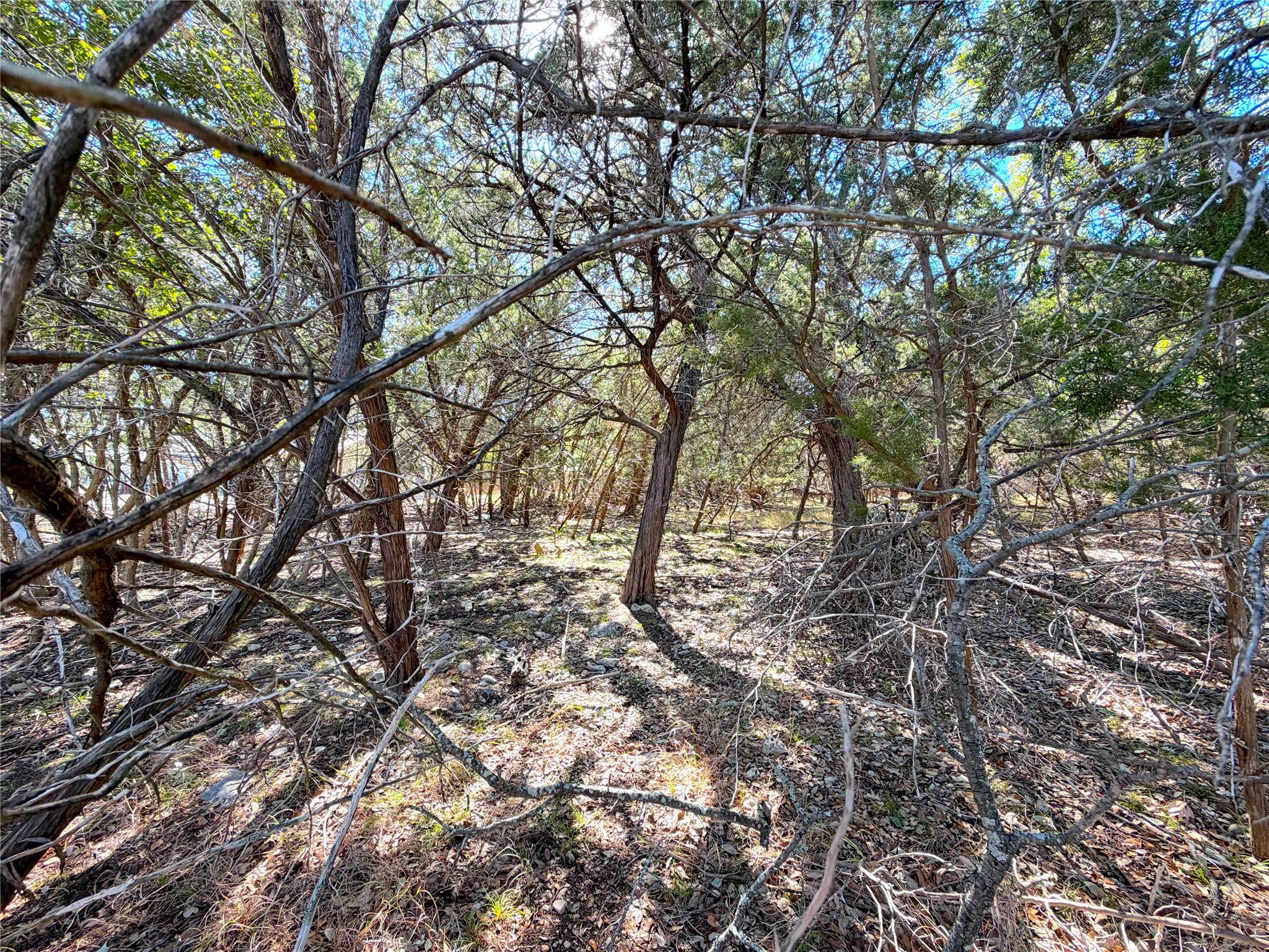426 Clay RDG — photo 4