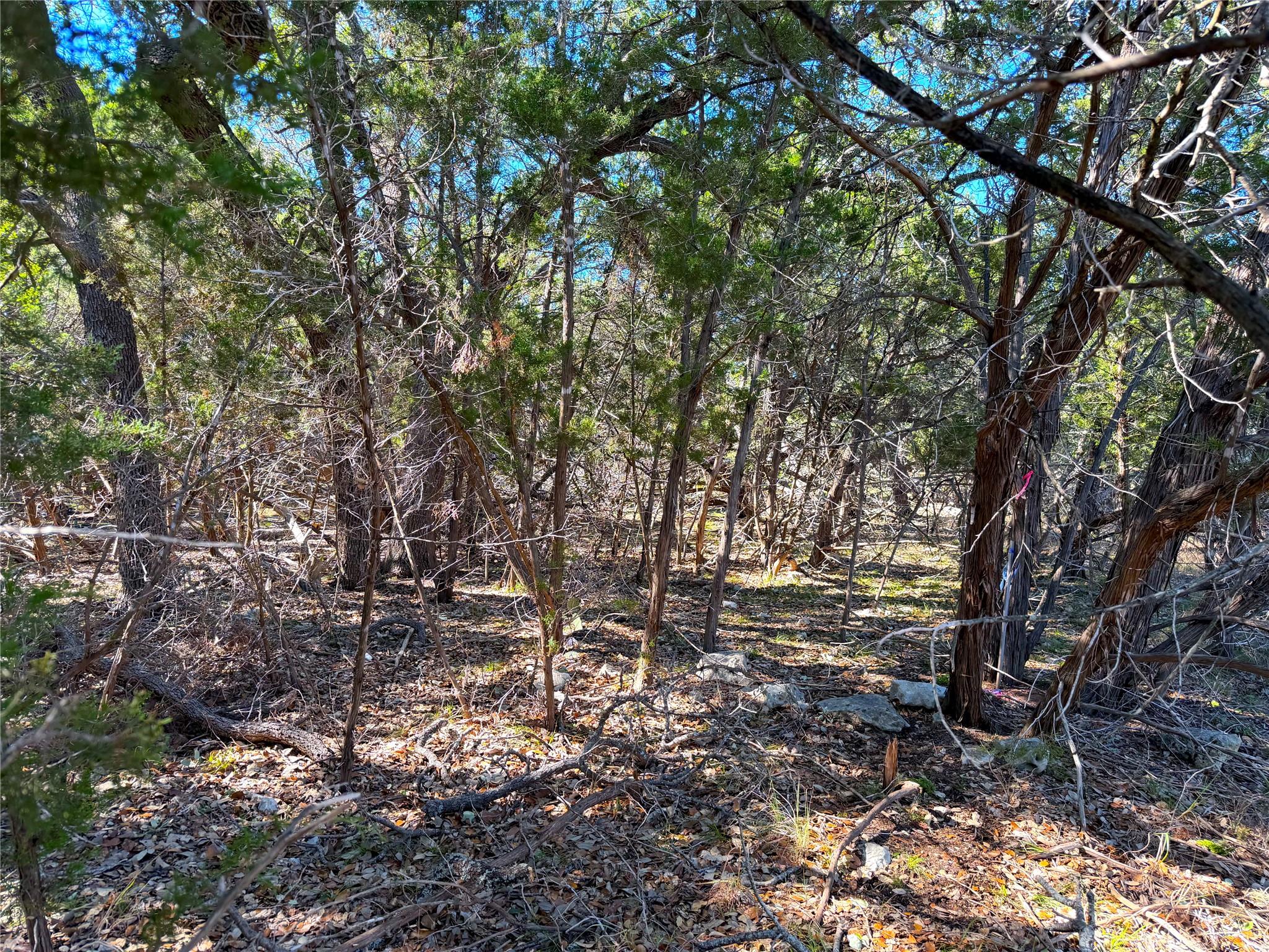 426 Clay RDG — photo 5